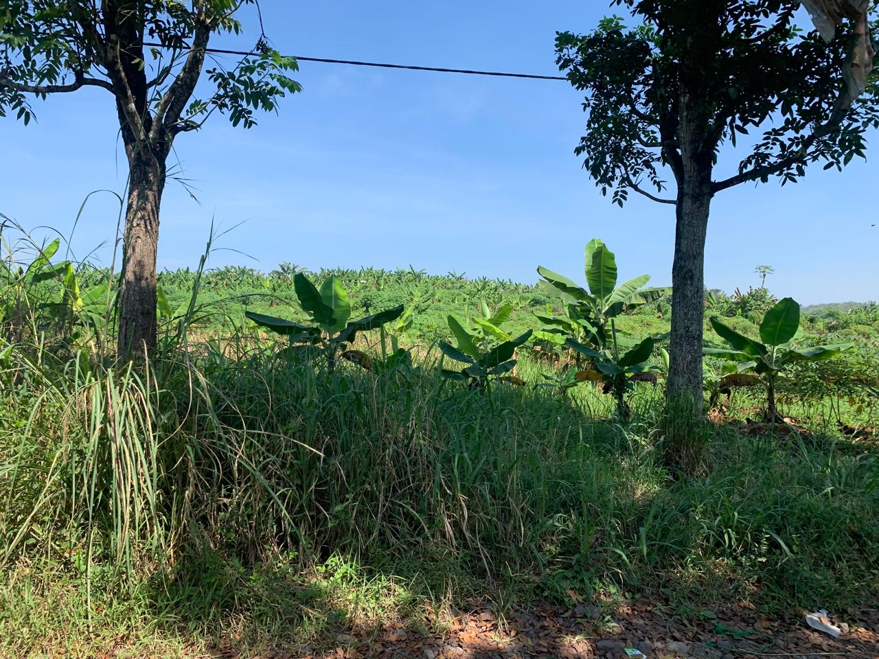 IMG-20240618-WA0054 - emi syara