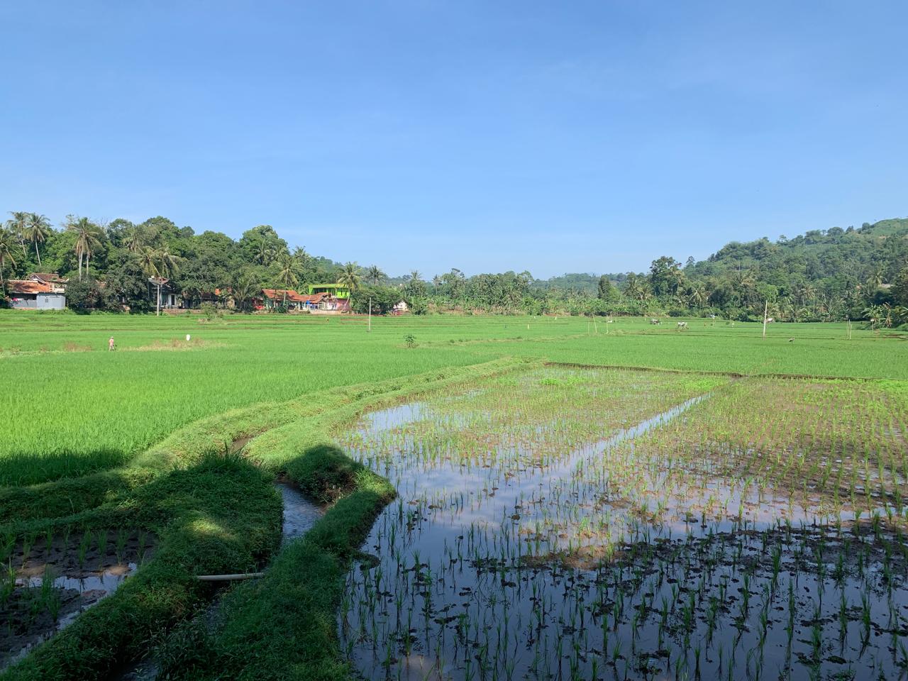 IMG-20240618-WA0057 - emi syara