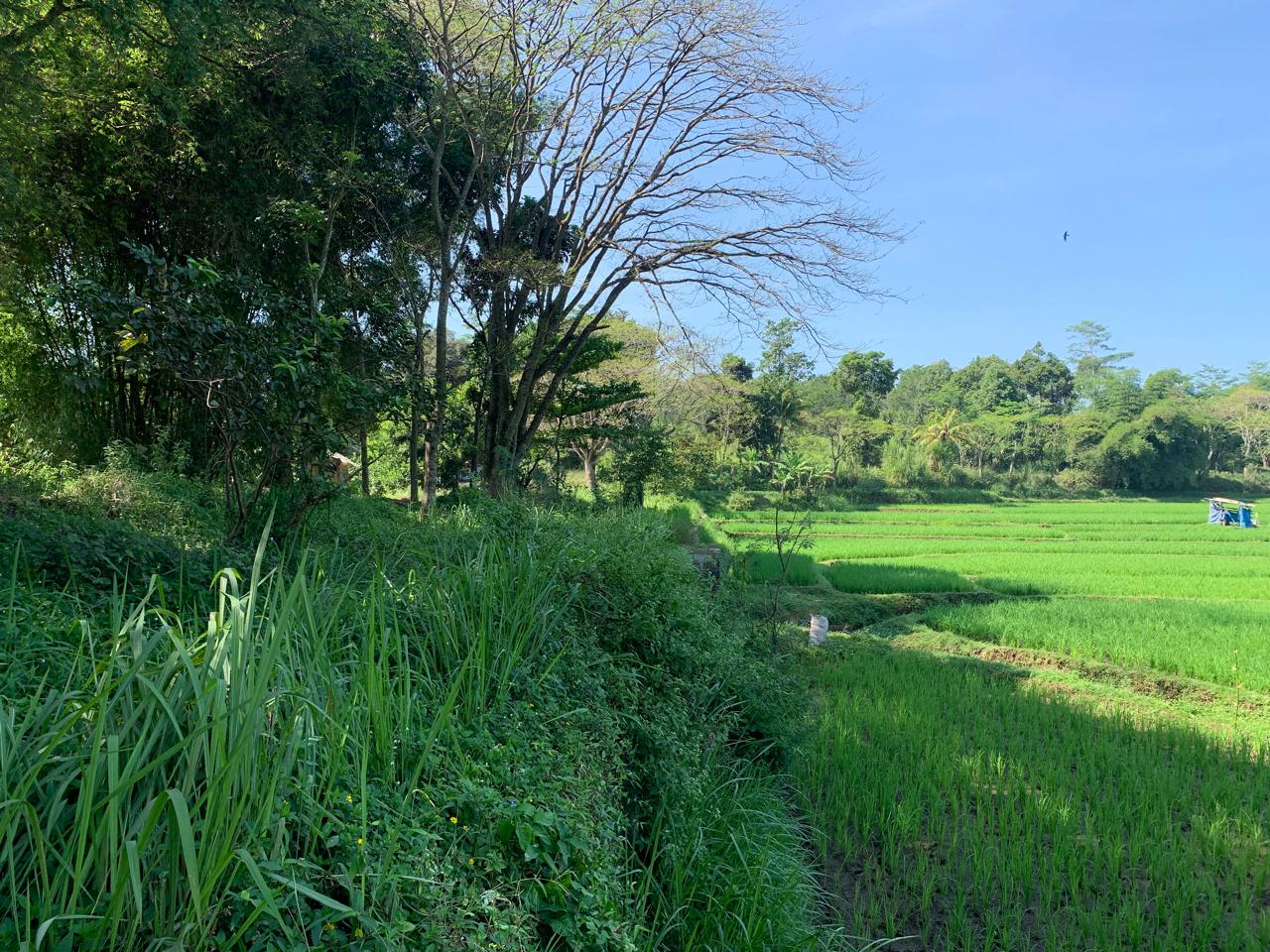 IMG-20240618-WA0058 - emi syara