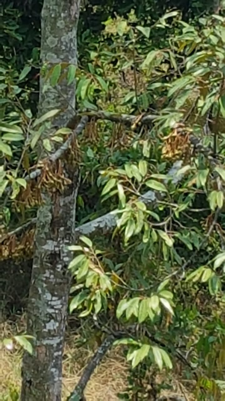 WhatsApp Image 2024-08-20 at 10.36.41_5f54d851 - bayu erasky