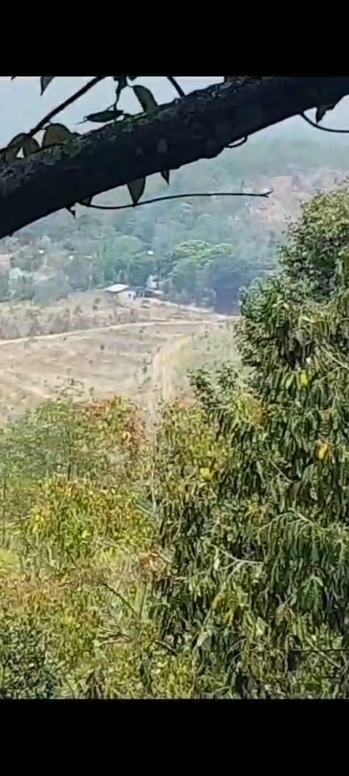 WhatsApp Image 2024-08-25 at 17.59.36_edf52b8b - bayu erasky