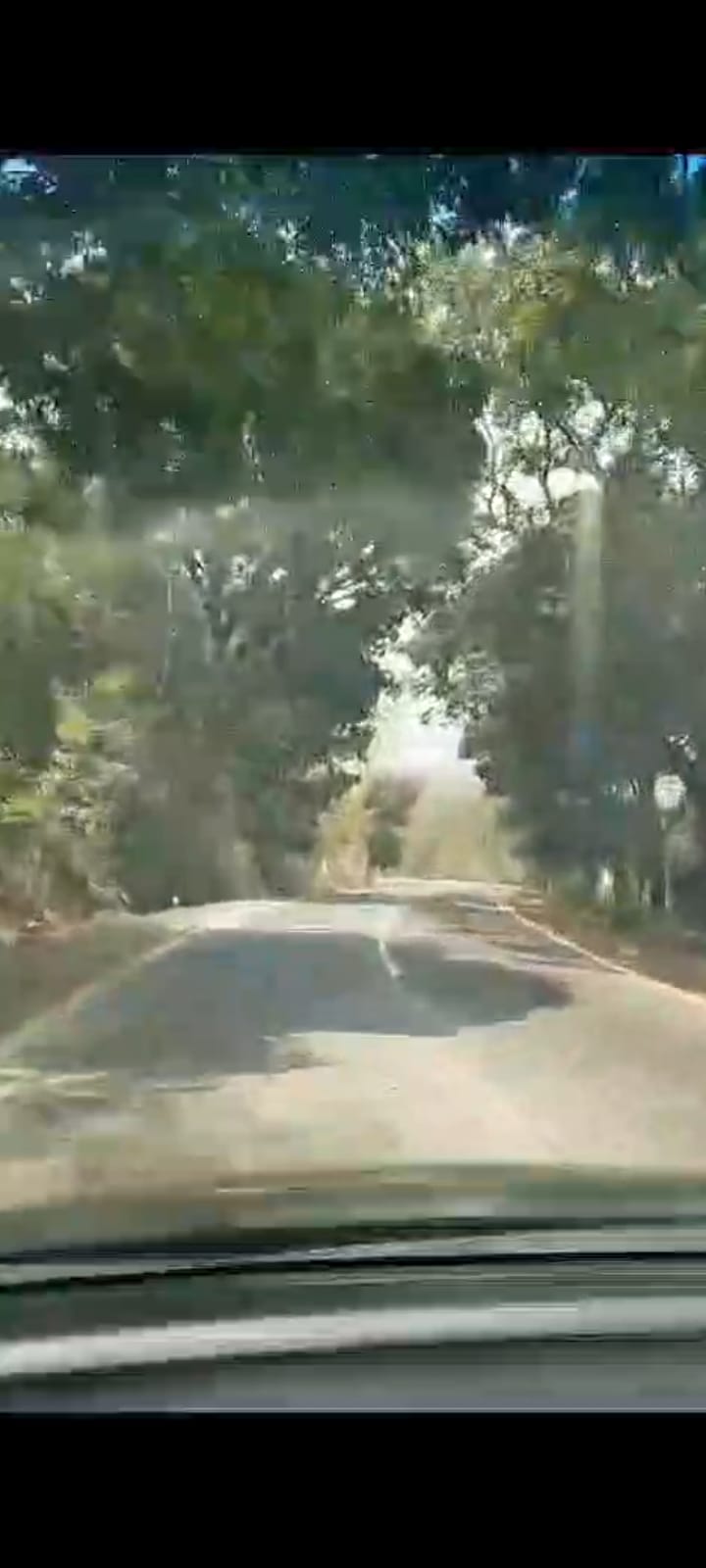 WhatsApp Image 2024-08-25 at 17.59.37_802260e6 - bayu erasky