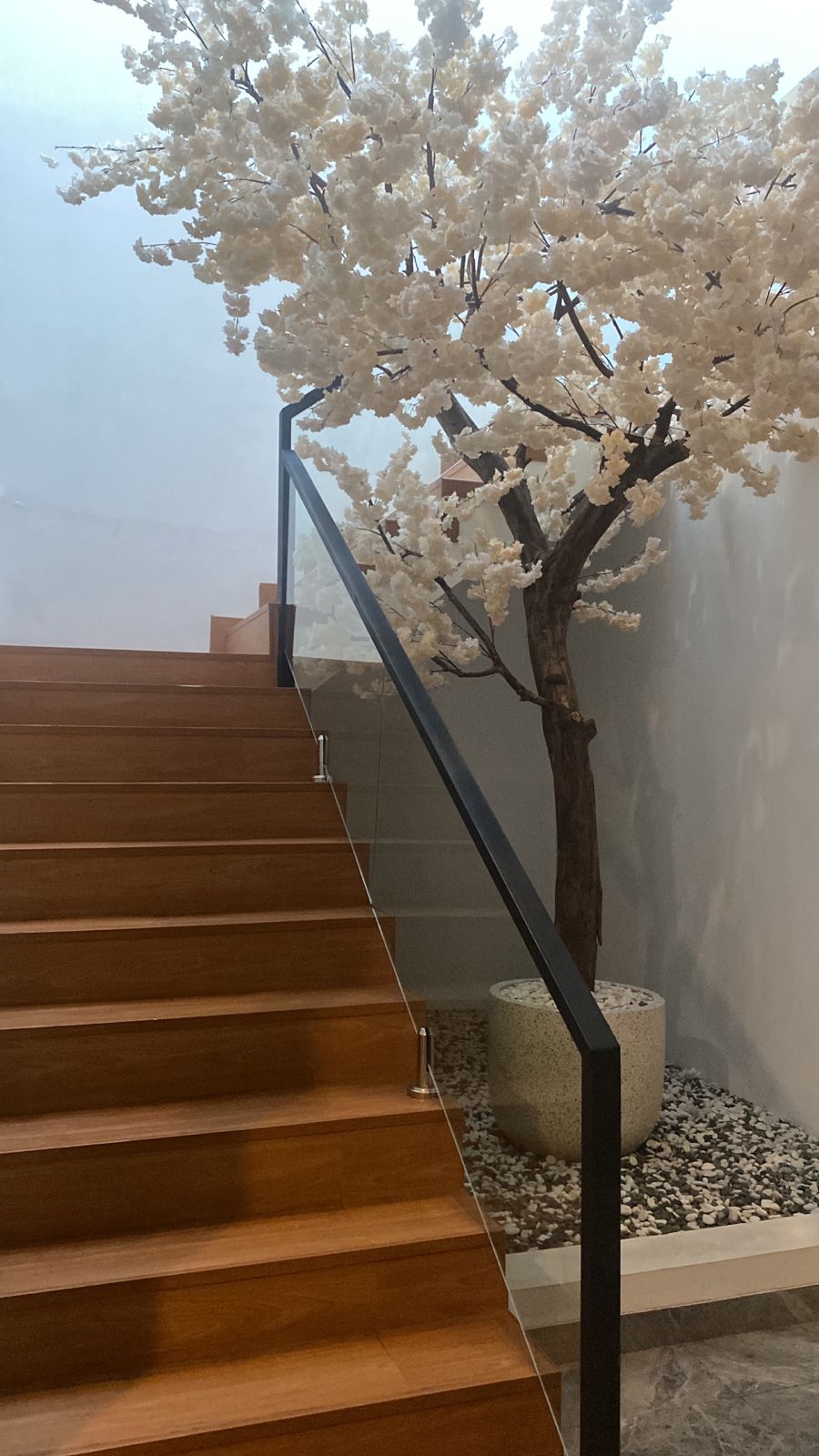 IMG-20241024-WA0019 - Yulien Rylee