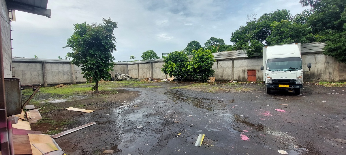 20241214_103254 - Joe Erasky