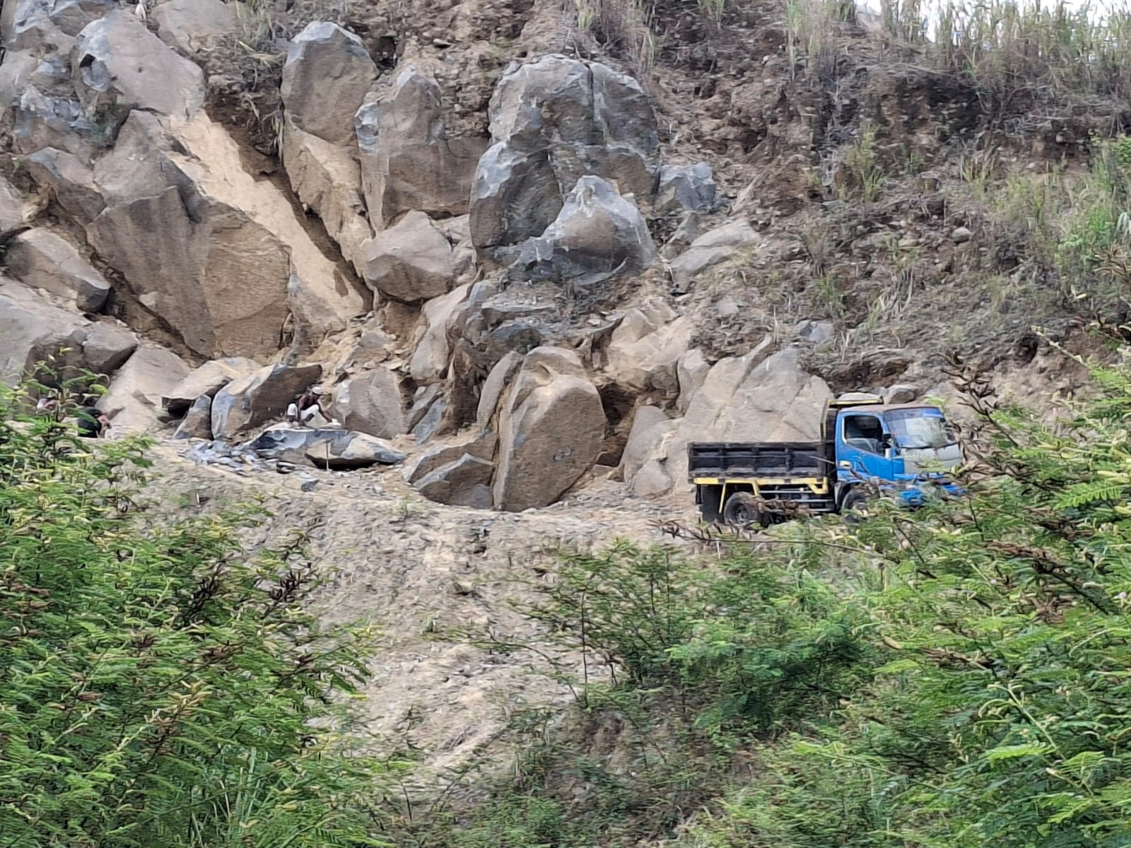 WhatsApp Image 2025-01-03 at 16.32.00_dd31300e - bayu erasky