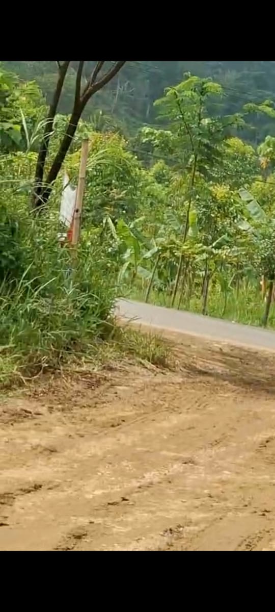 WhatsApp Image 2025-01-07 at 15.57.26_8aa5dc5e - bayu erasky