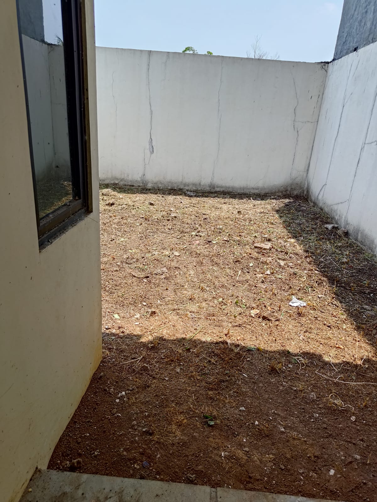 WhatsApp Image 2025-03-04 at 09.40.33 (1) - Leo Agung