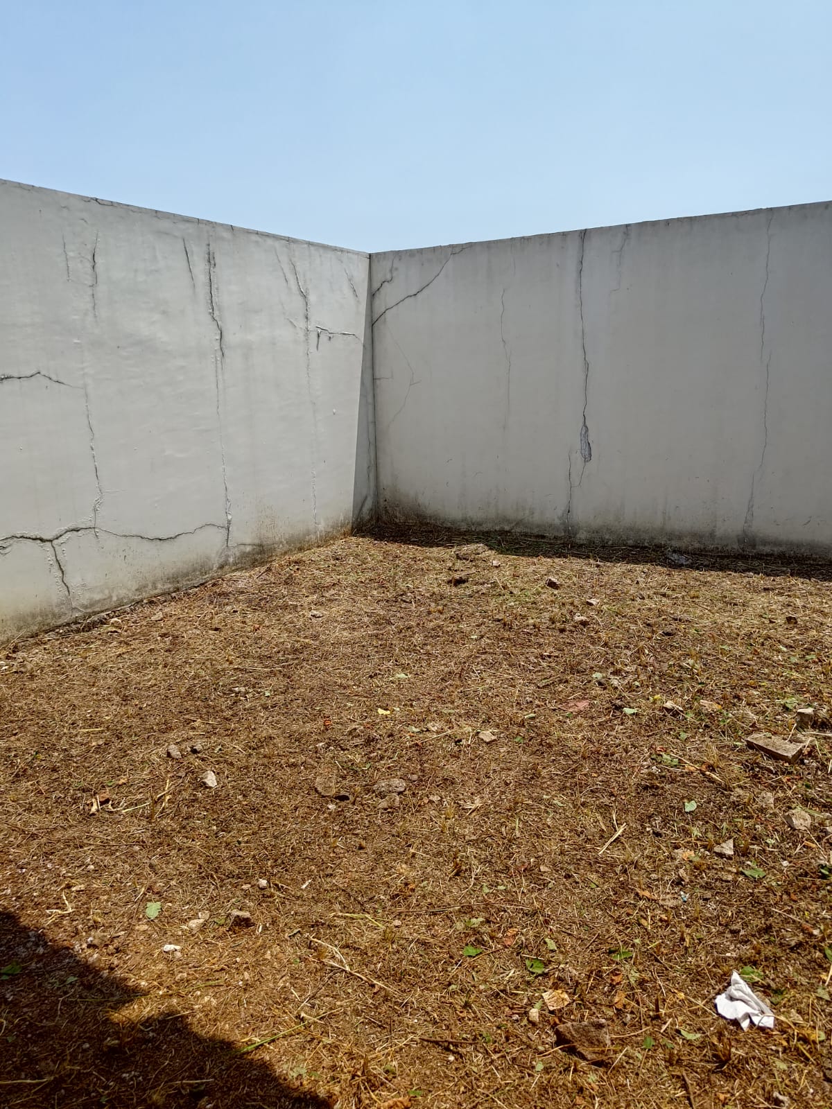 WhatsApp Image 2025-03-04 at 09.40.33 (2) - Leo Agung