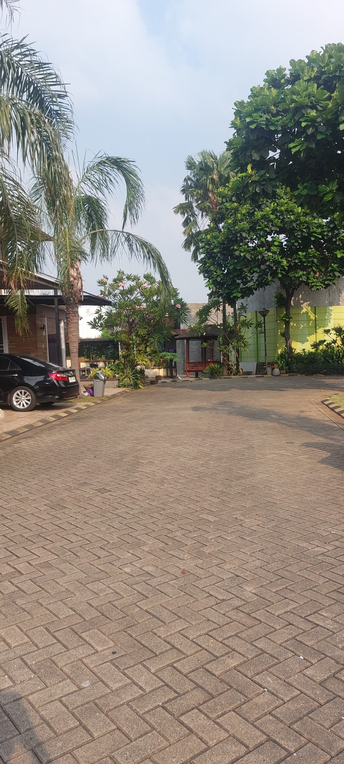 20250429_153018 - Joe Erasky