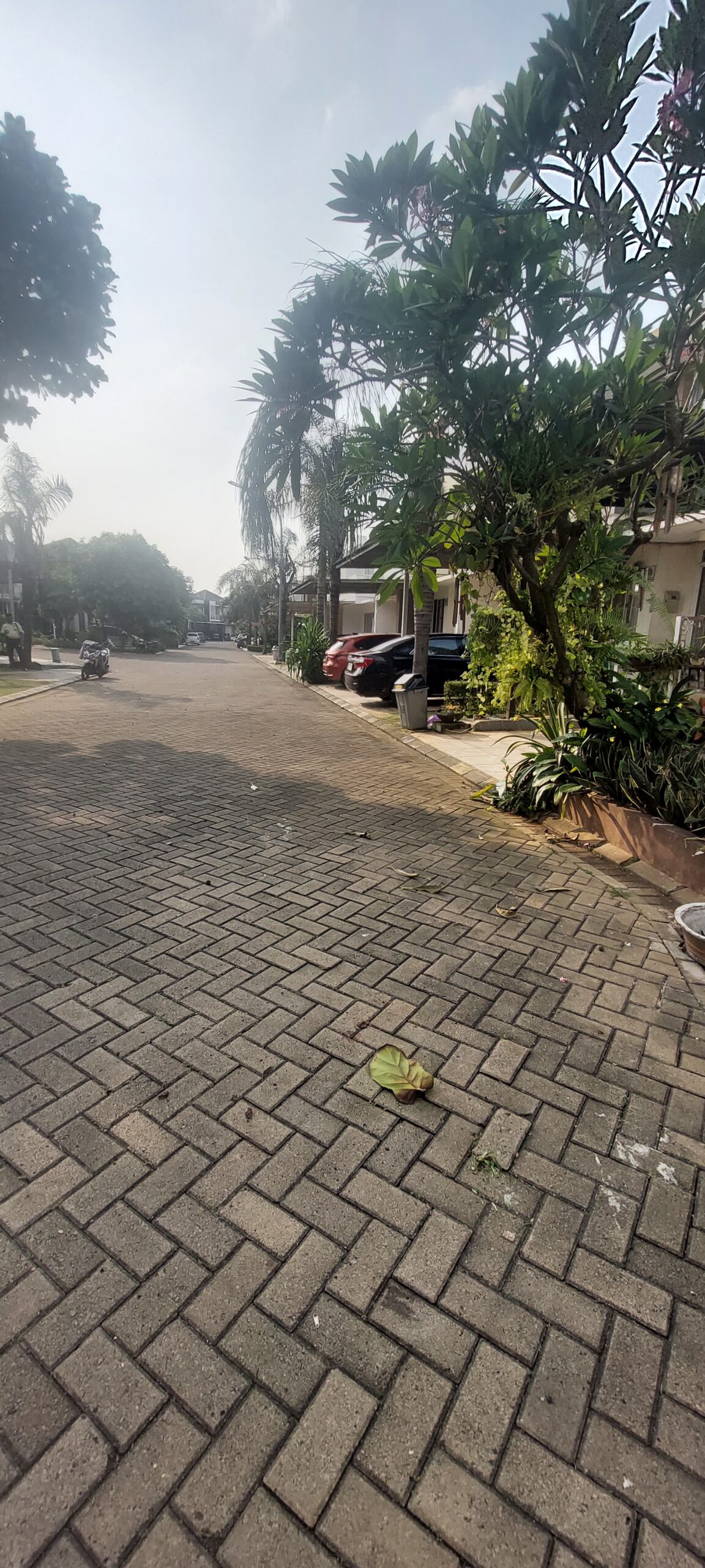 20250429_153109 - Joe Erasky