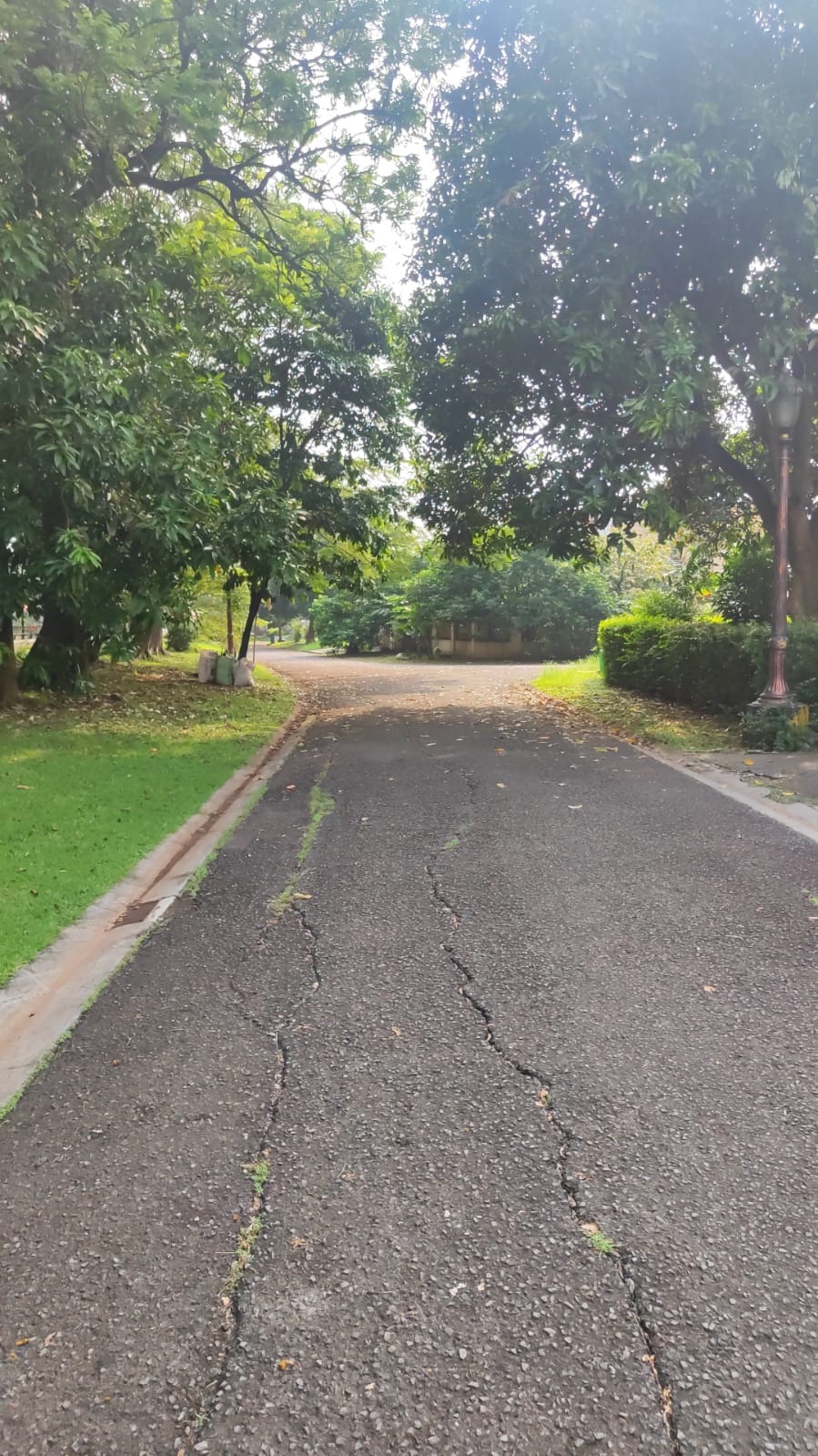 IMG-20250611-WA0014 - Martin Erasky