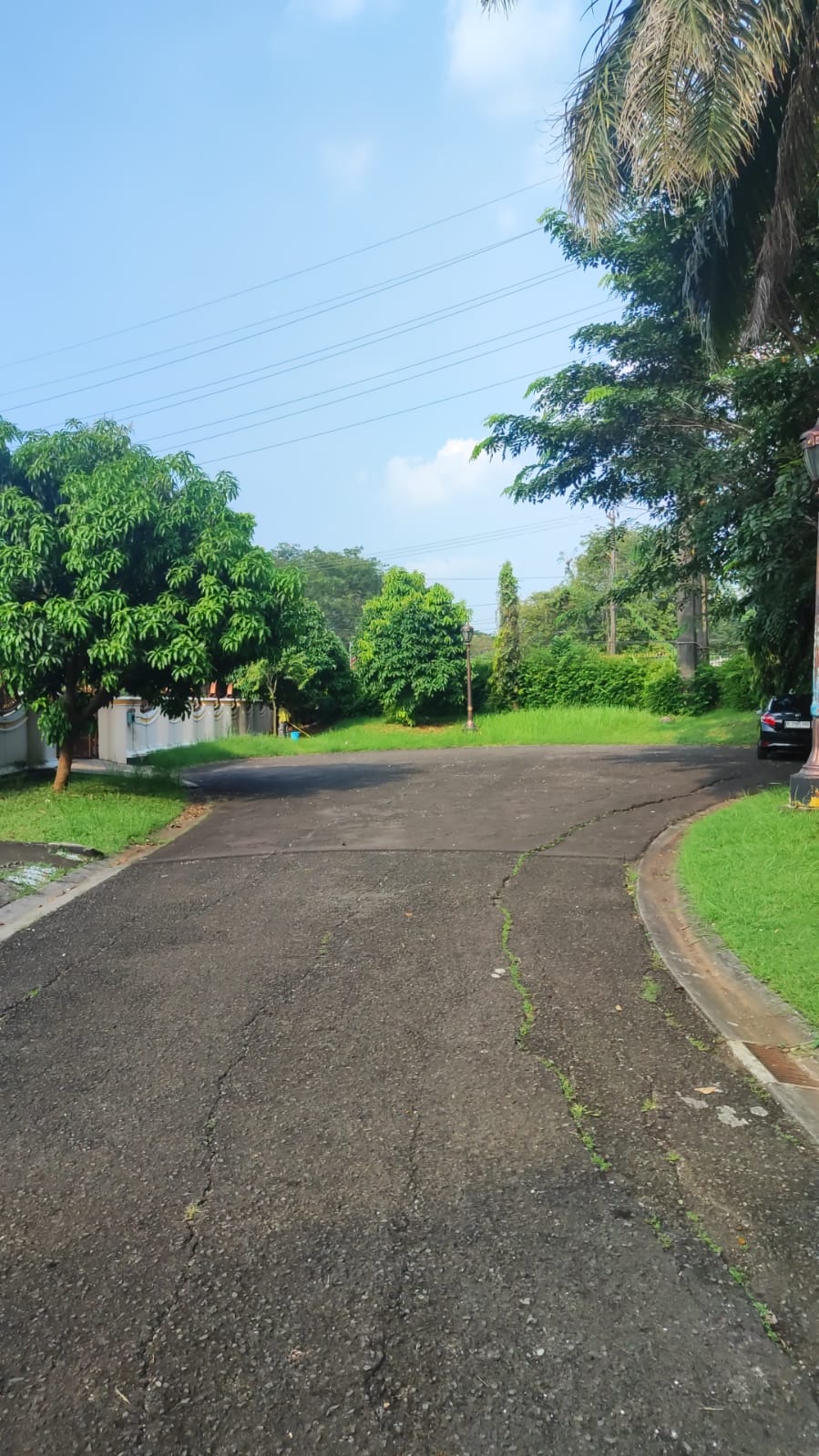 IMG-20250611-WA0015 - Martin Erasky