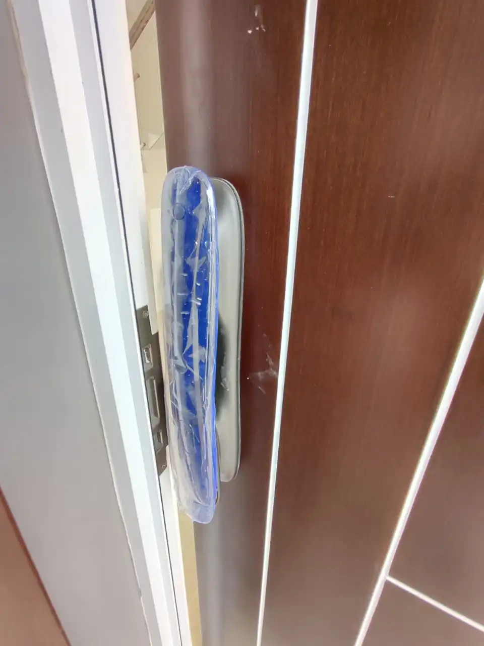 b8e78500-88d3-44a2-8439-c2107e4caf32