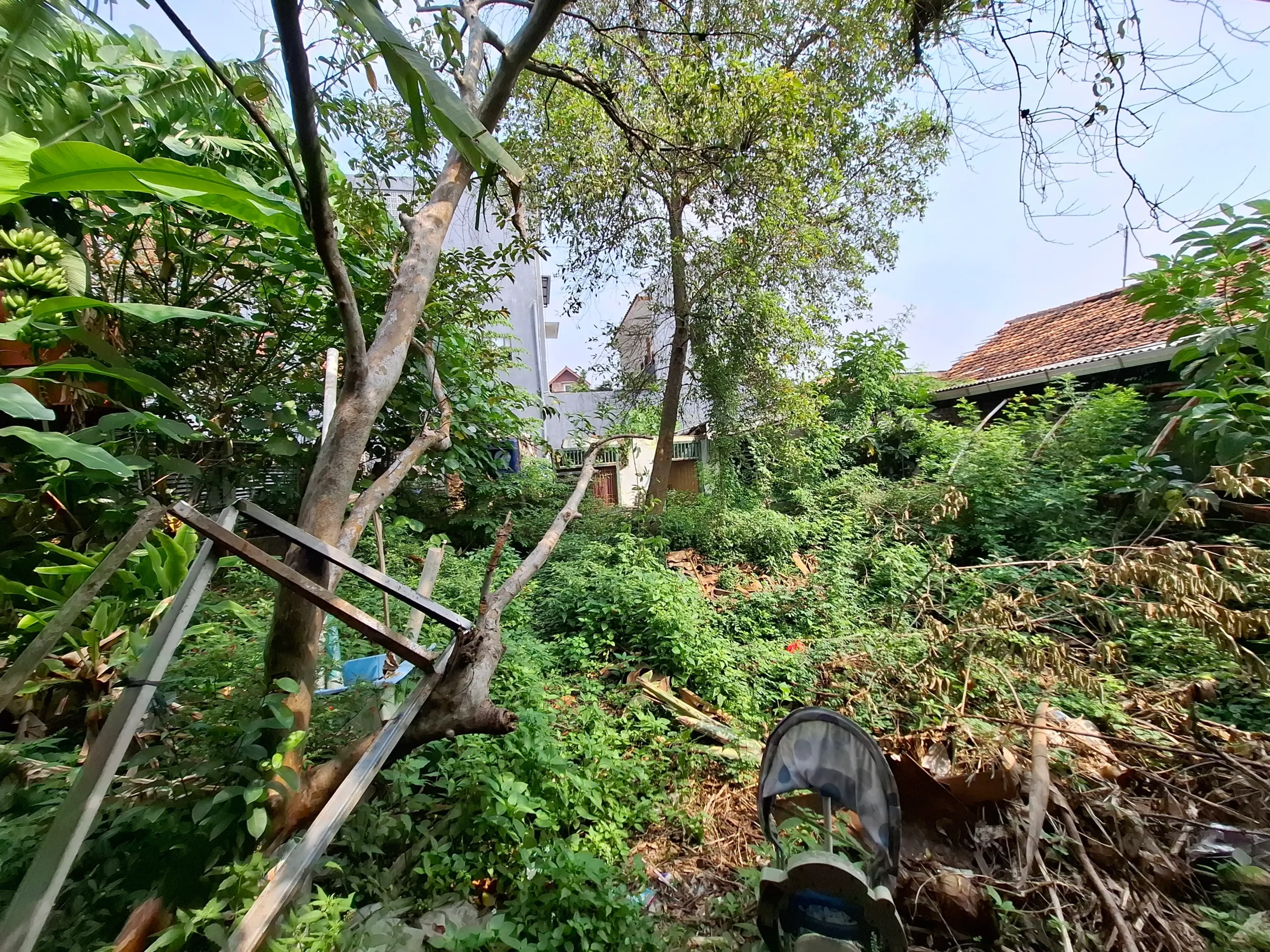 bb7e9521-0b6d-45ae-b508-e9b48e5e1b35