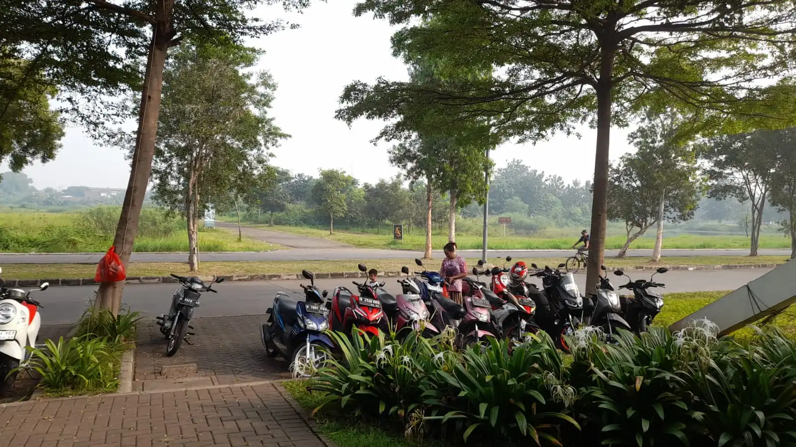 325f0db0-8b69-406b-af19-1d2eb8ad9539