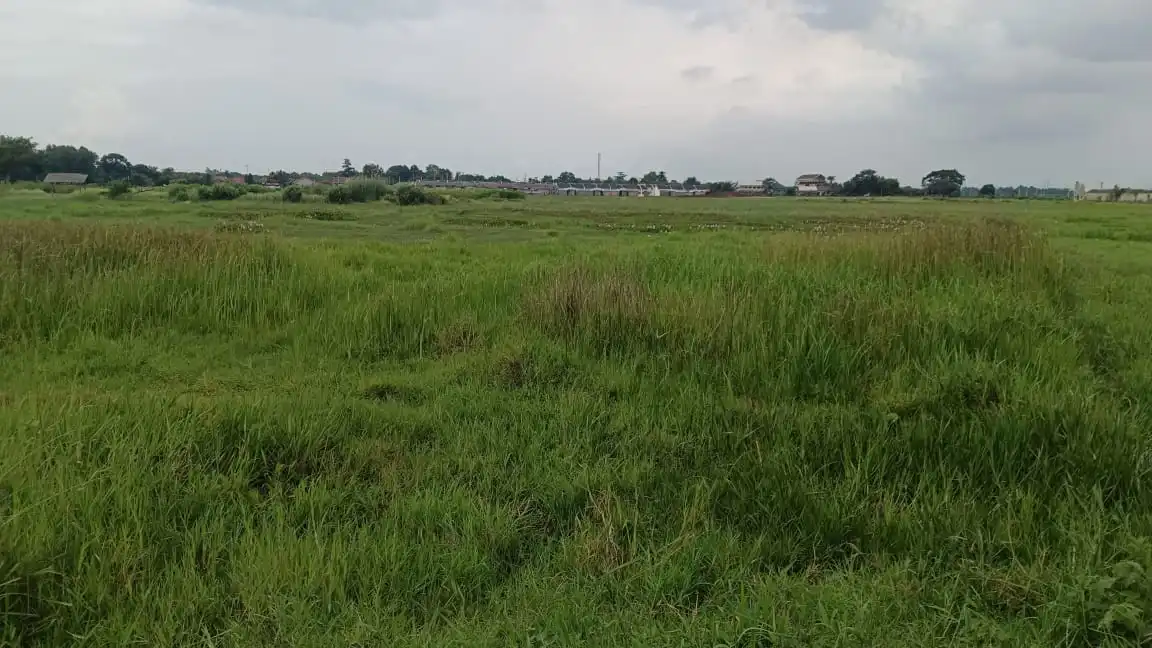 3c6fe449-bc2f-4c07-ac94-c04f0b433f21