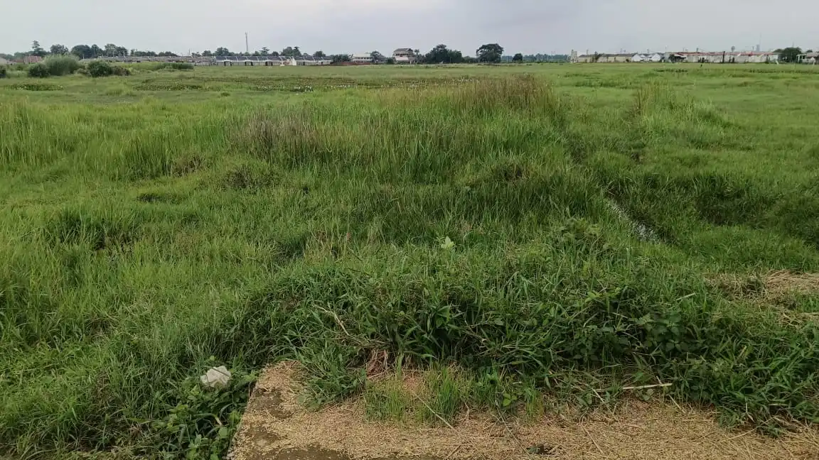 98cf26c1-b7a8-45f7-8a41-bb702e7b8fa2