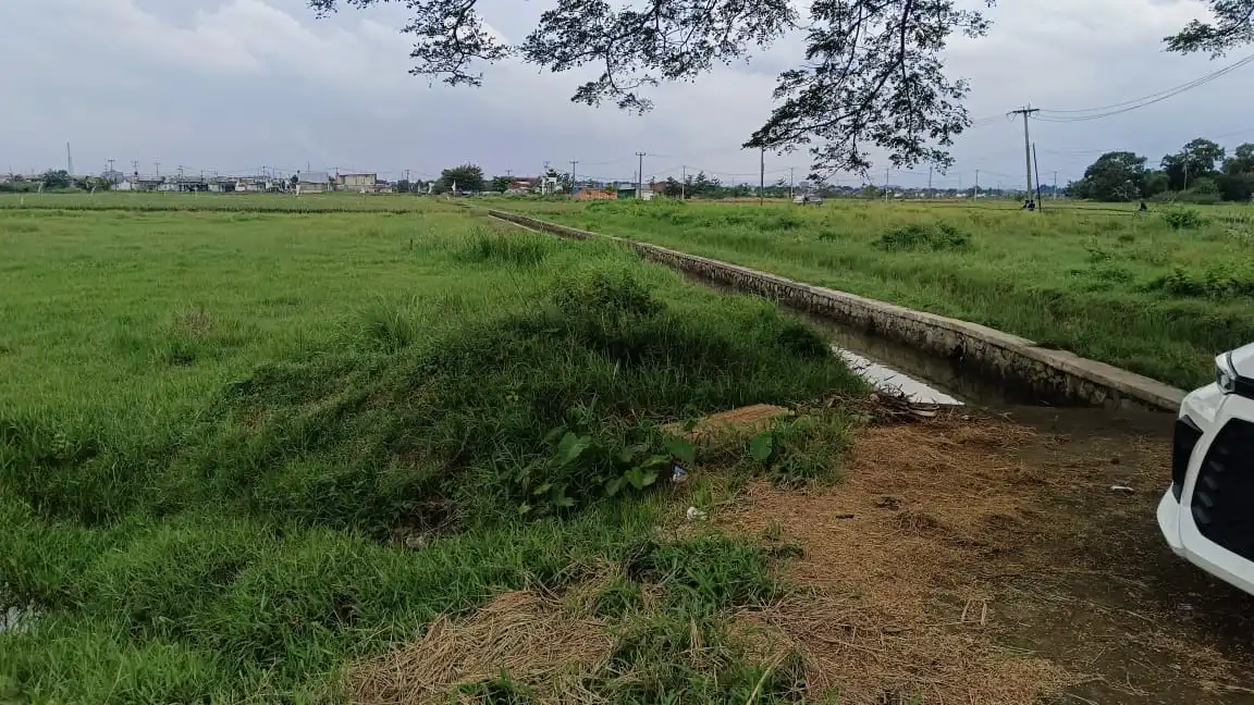 d1c2d1f5-d6ee-4087-8d35-5a517cd993f7