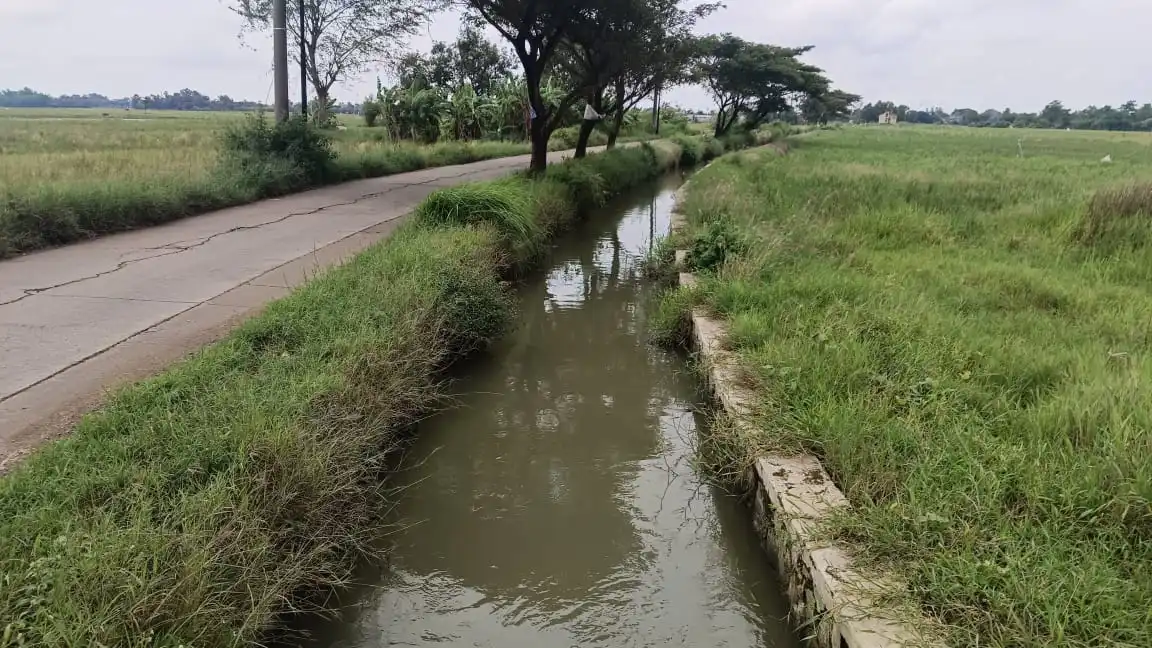 e3e792ef-8854-4f3d-ad5a-eff25ddbe2bf