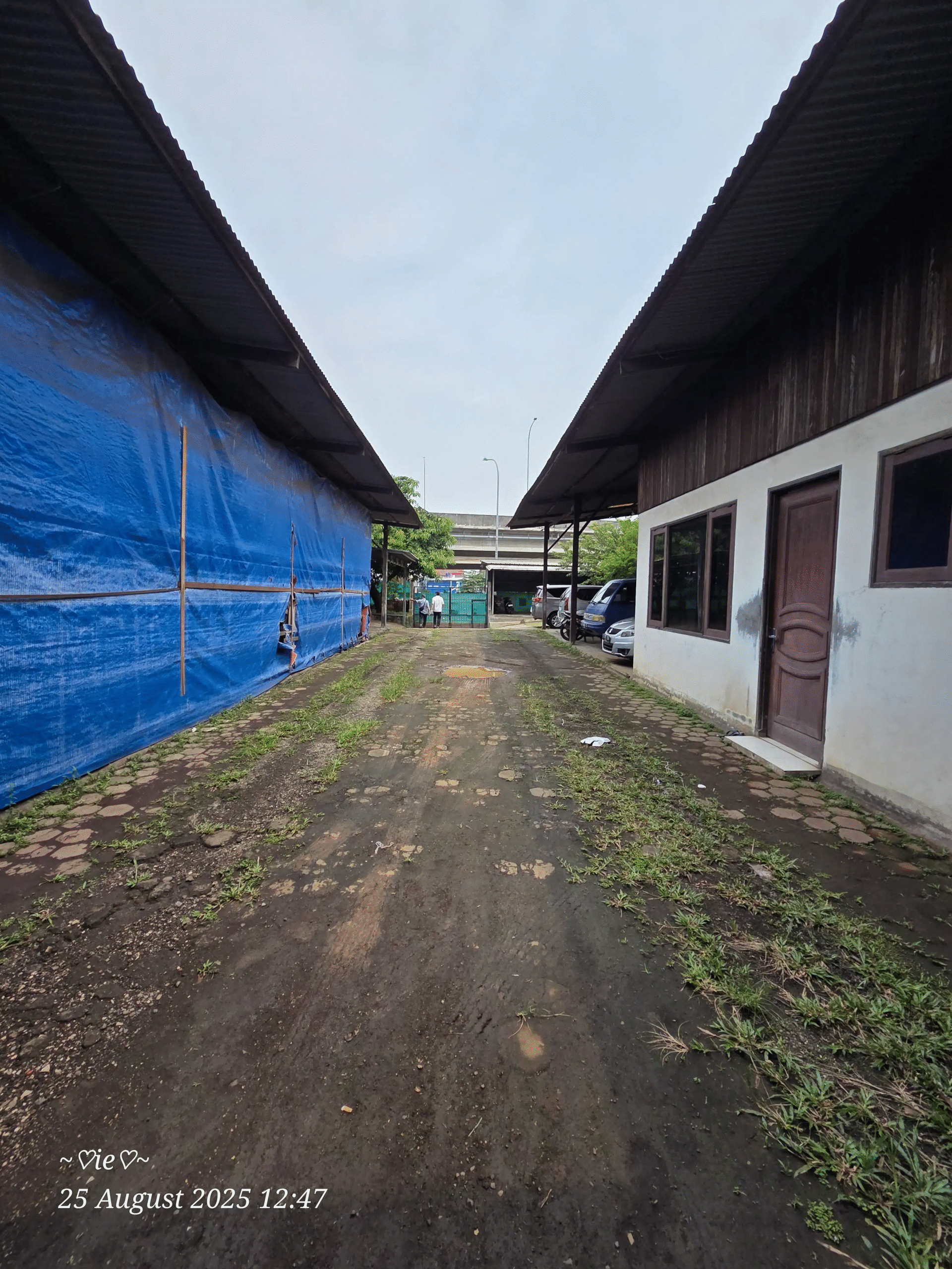 098ed425-5a34-4611-841a-8cfb7b2afdc7