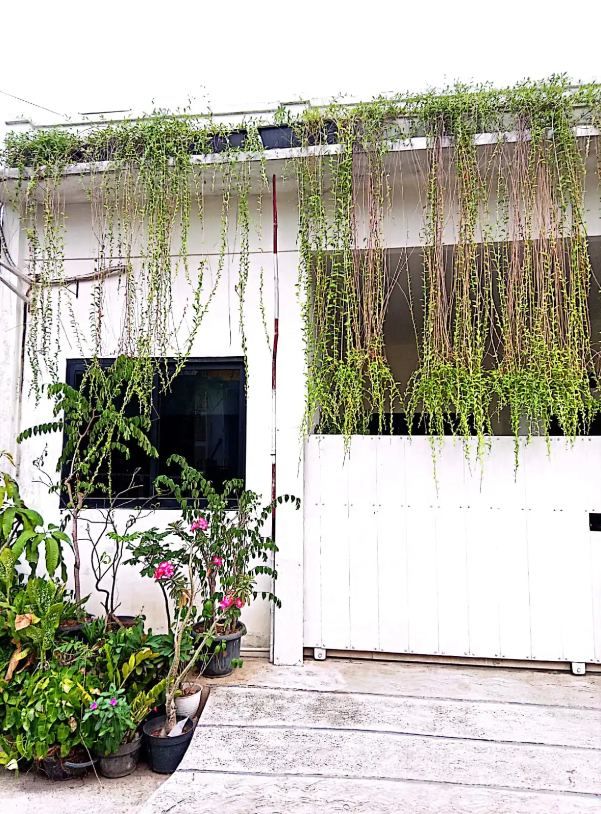 1d8b81af-3647-4a10-8a91-7b7e986c2dca