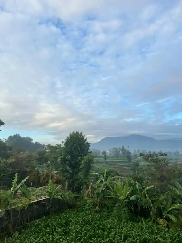 a3f9adee-be0c-47e9-b696-f5bcf862d0d3