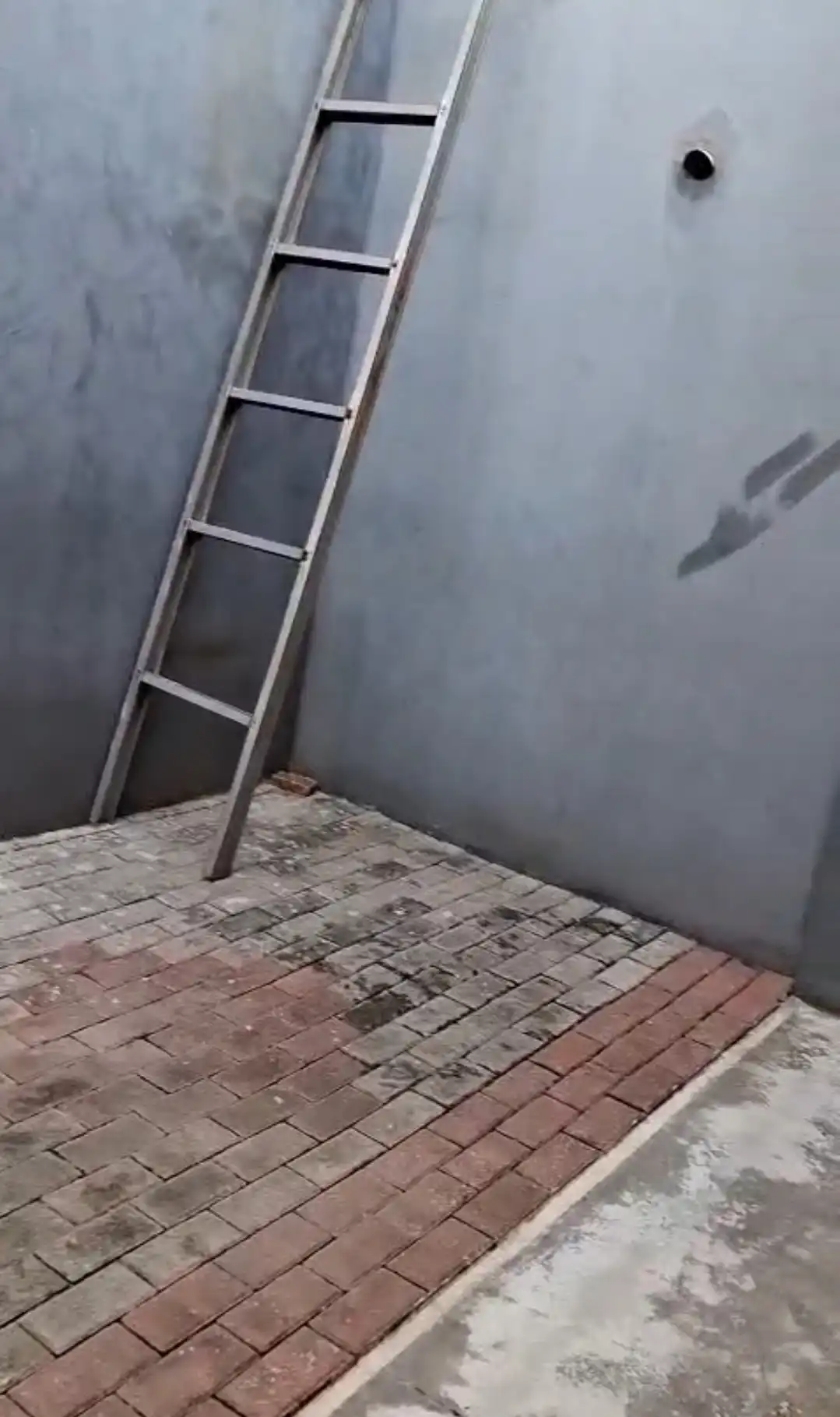 c6169bac-af7f-4059-8b83-9b69f03cb6e6