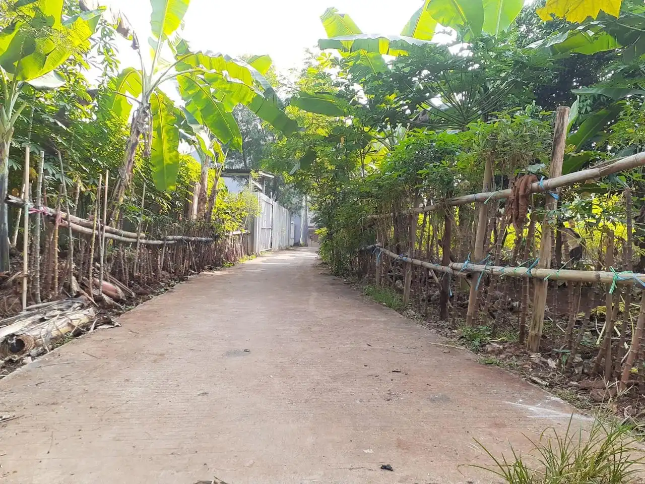 c96c1024-35f8-460b-b923-c95c124c9836