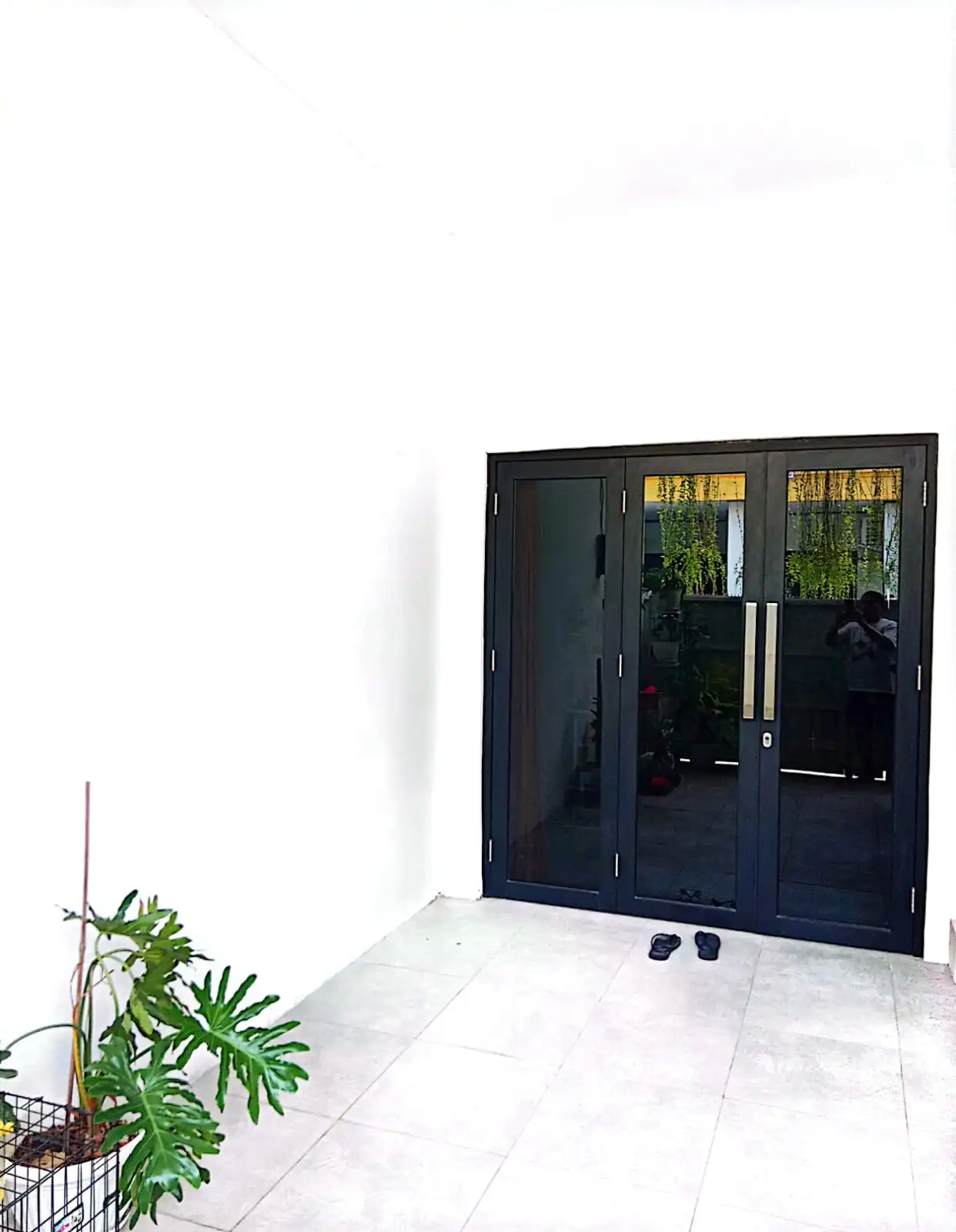 d722c858-e98c-4e26-a12e-fb883ea5a451