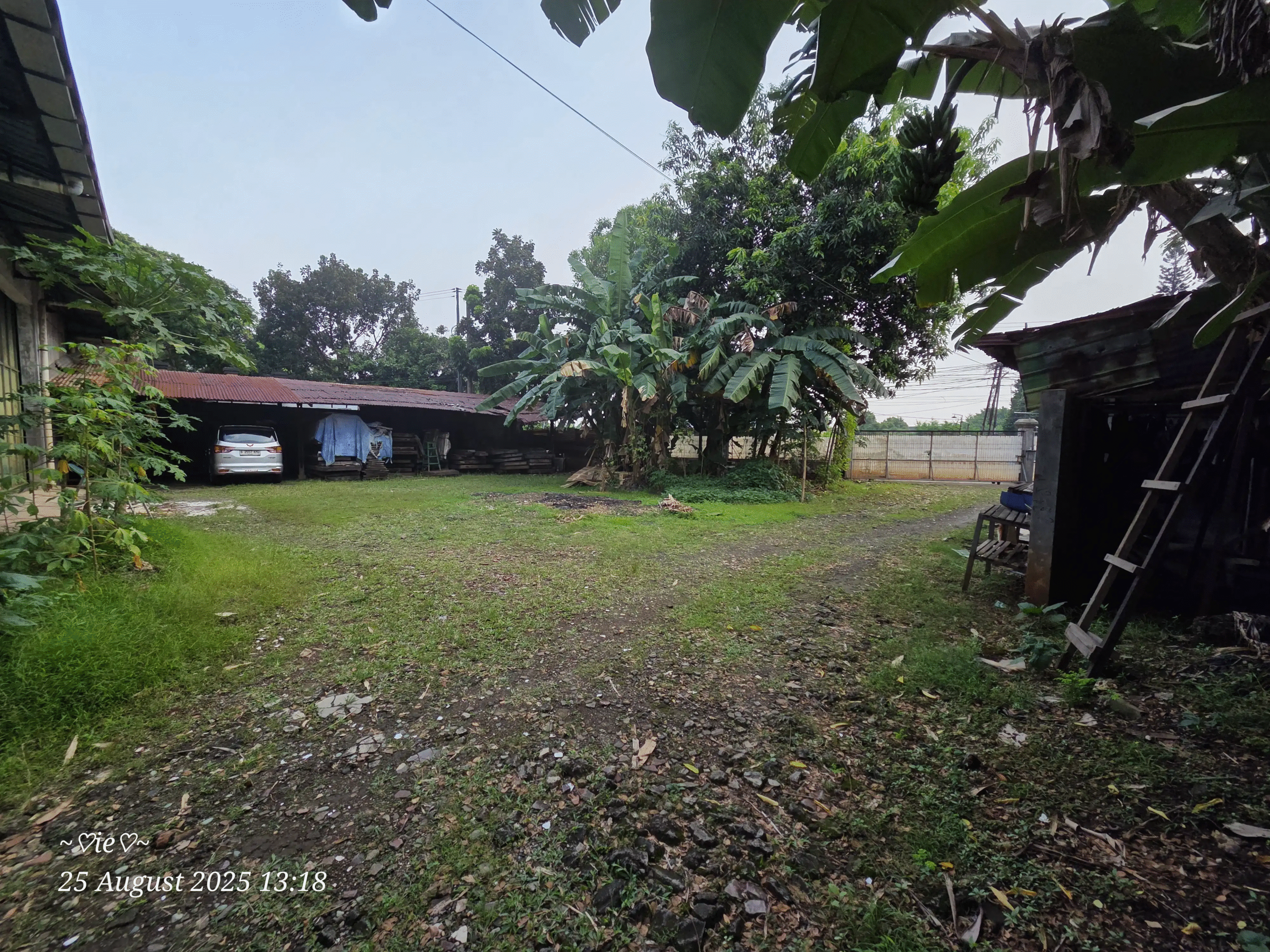 e6f6e632-f0f1-42d1-b2e3-504d2d194639