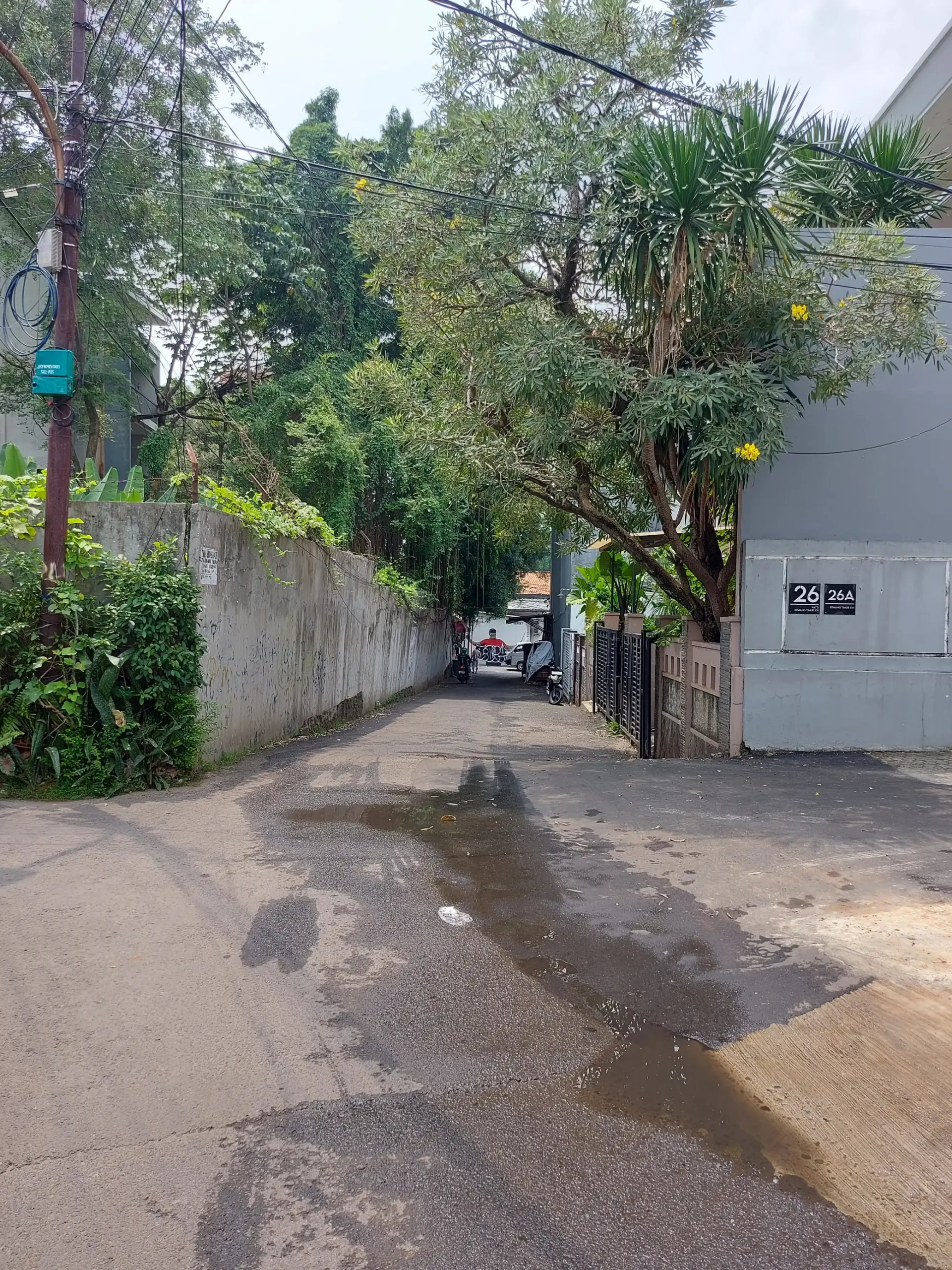 f598300e-dec4-4b29-aa3b-9e680017e99e