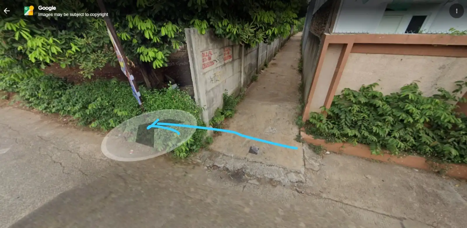 f5a275c6-9651-4a94-82af-ad788cc96a75