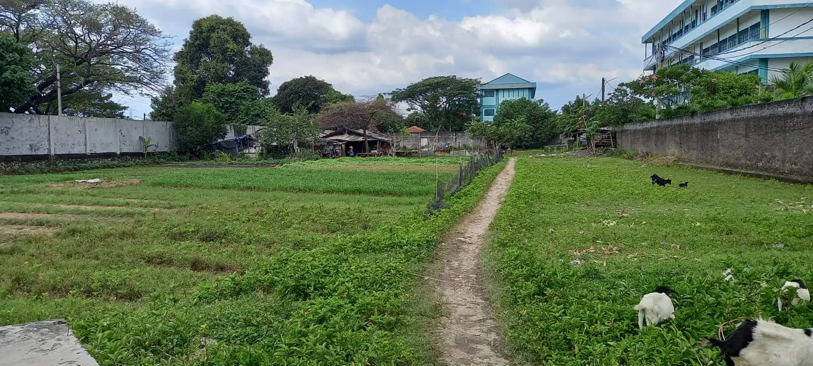 0b450ebd-07ef-452d-98ac-60e7dae1dfbd