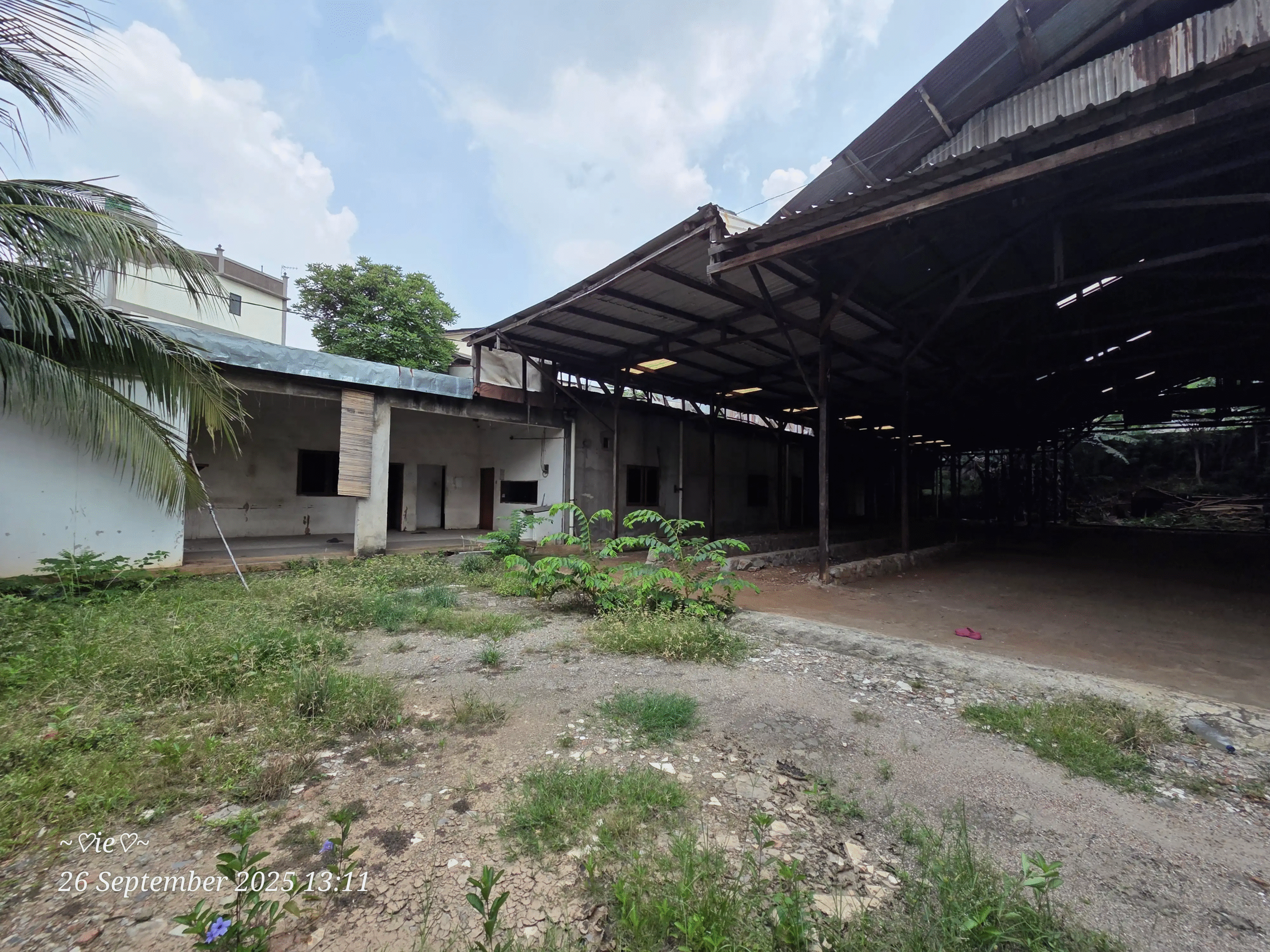 1a3cd3f5-abc7-4f38-843d-fa62eaa1fc34