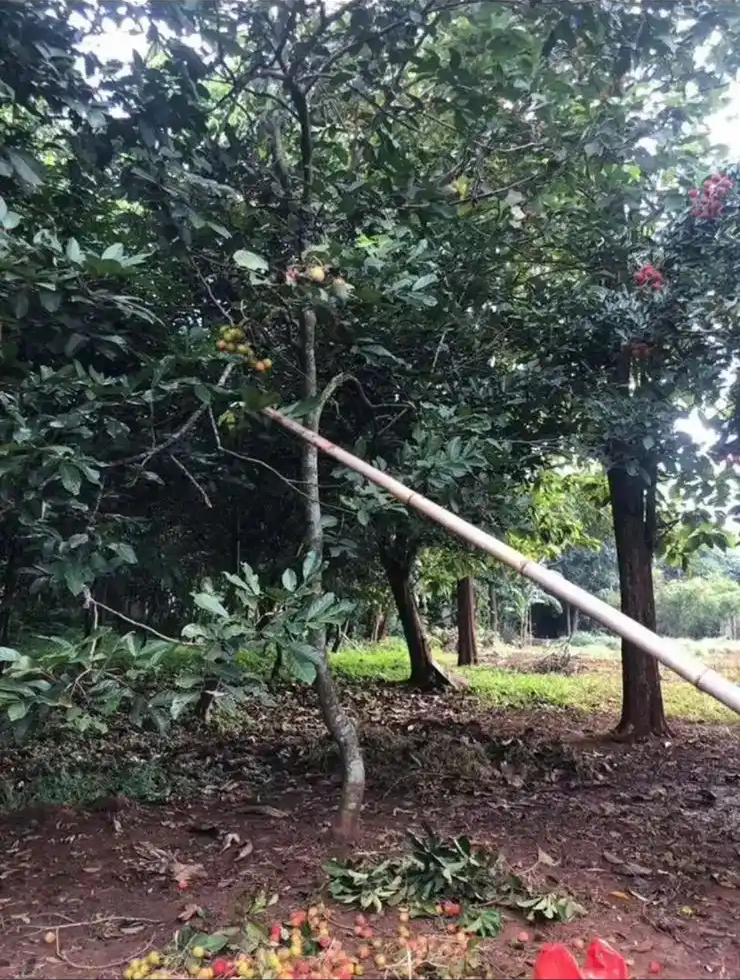 2e182b5a-2a10-4bfb-98b2-ec68a90c3d6c