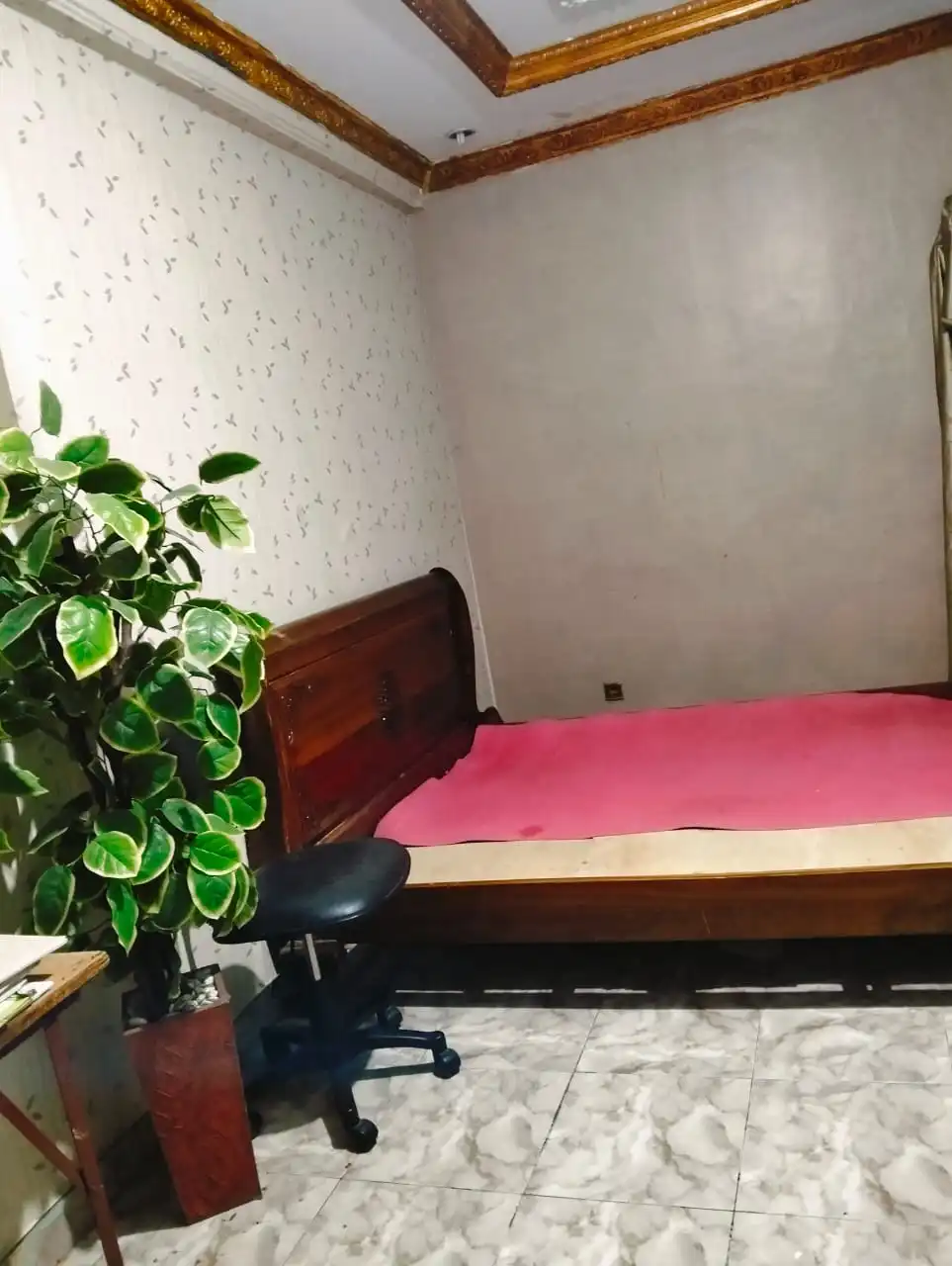 464858bb-d189-4054-bd76-e4e63274d4b9