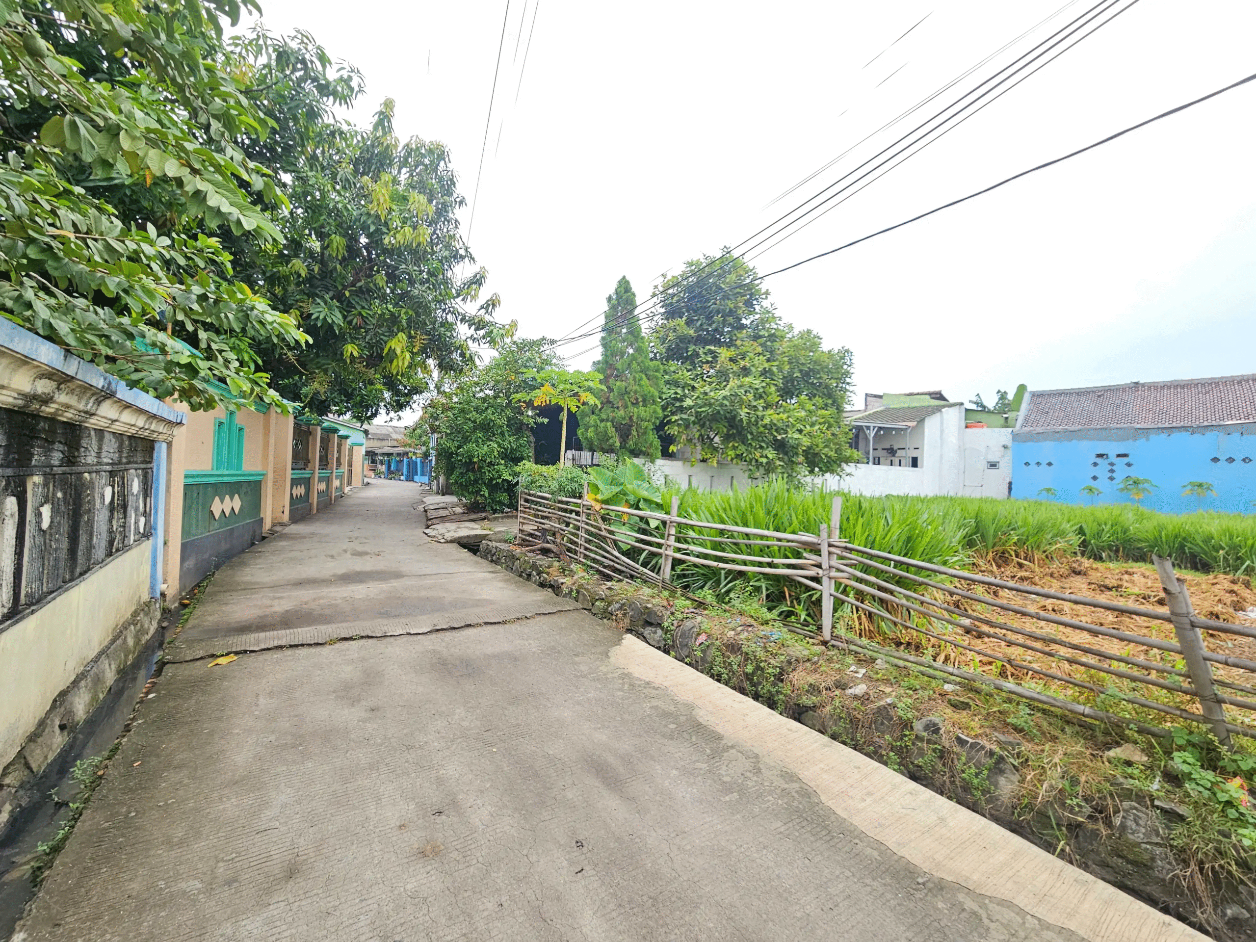 4c2d11d3-3d3a-43e6-93ce-2e077eb932fb