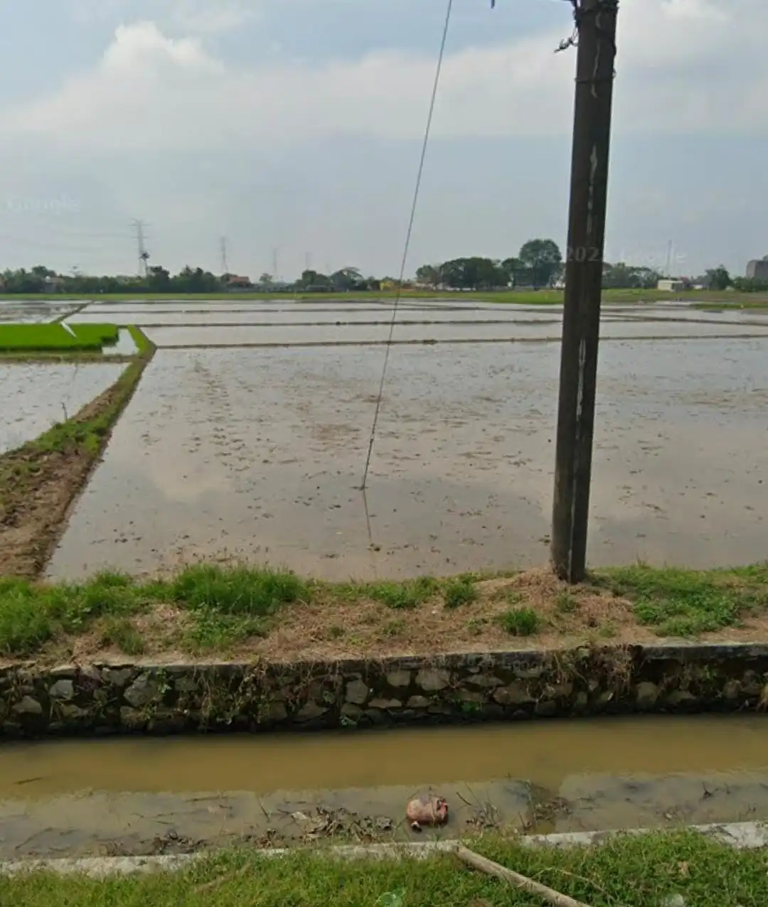 7cd509c2-470c-4b54-9651-c42a35249852