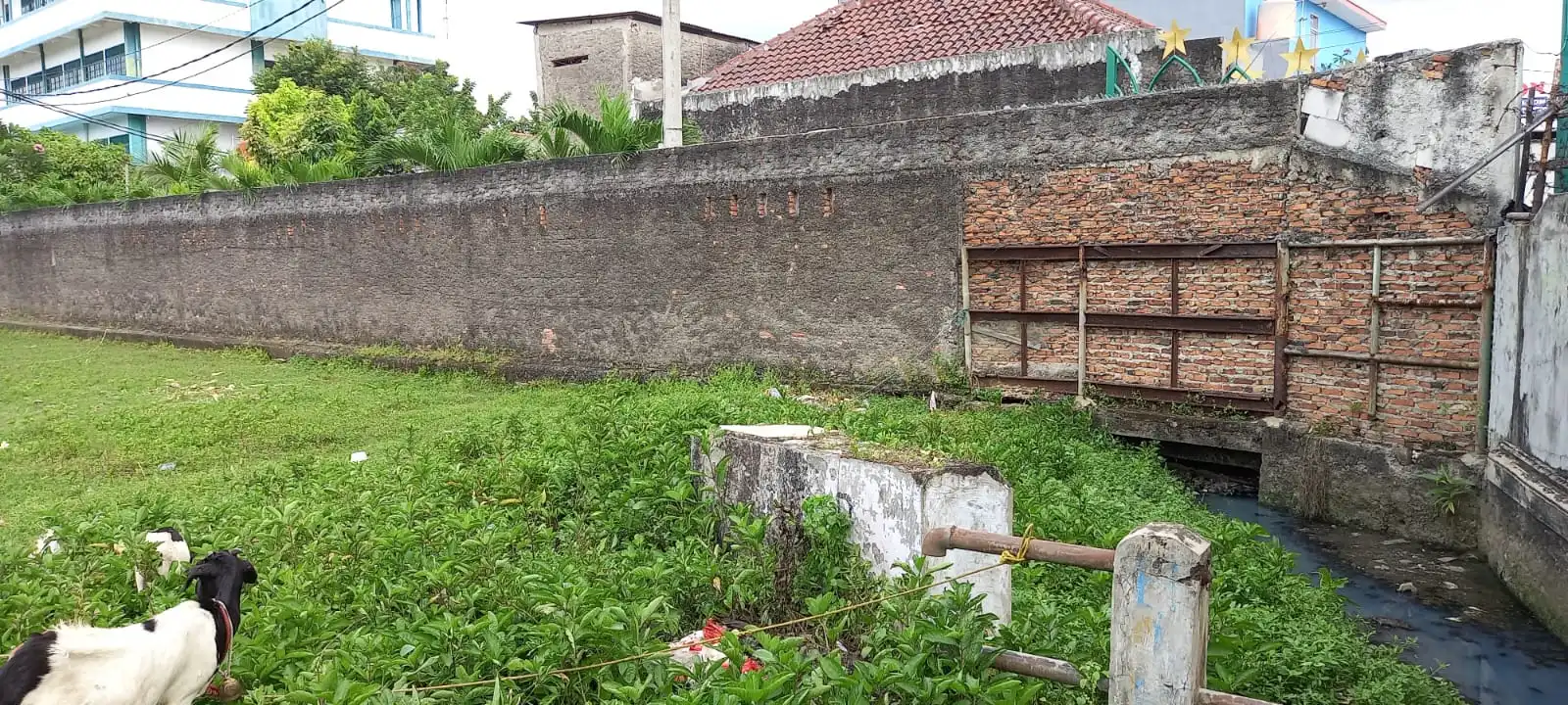 7fff02a5-66b2-41ce-8ef7-9902c53c4059