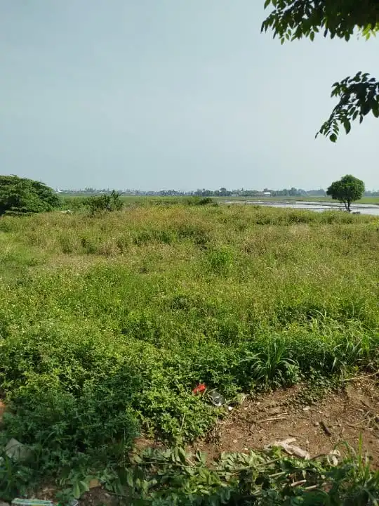 8a44745e-faad-4e6c-b96b-a16717b53e50