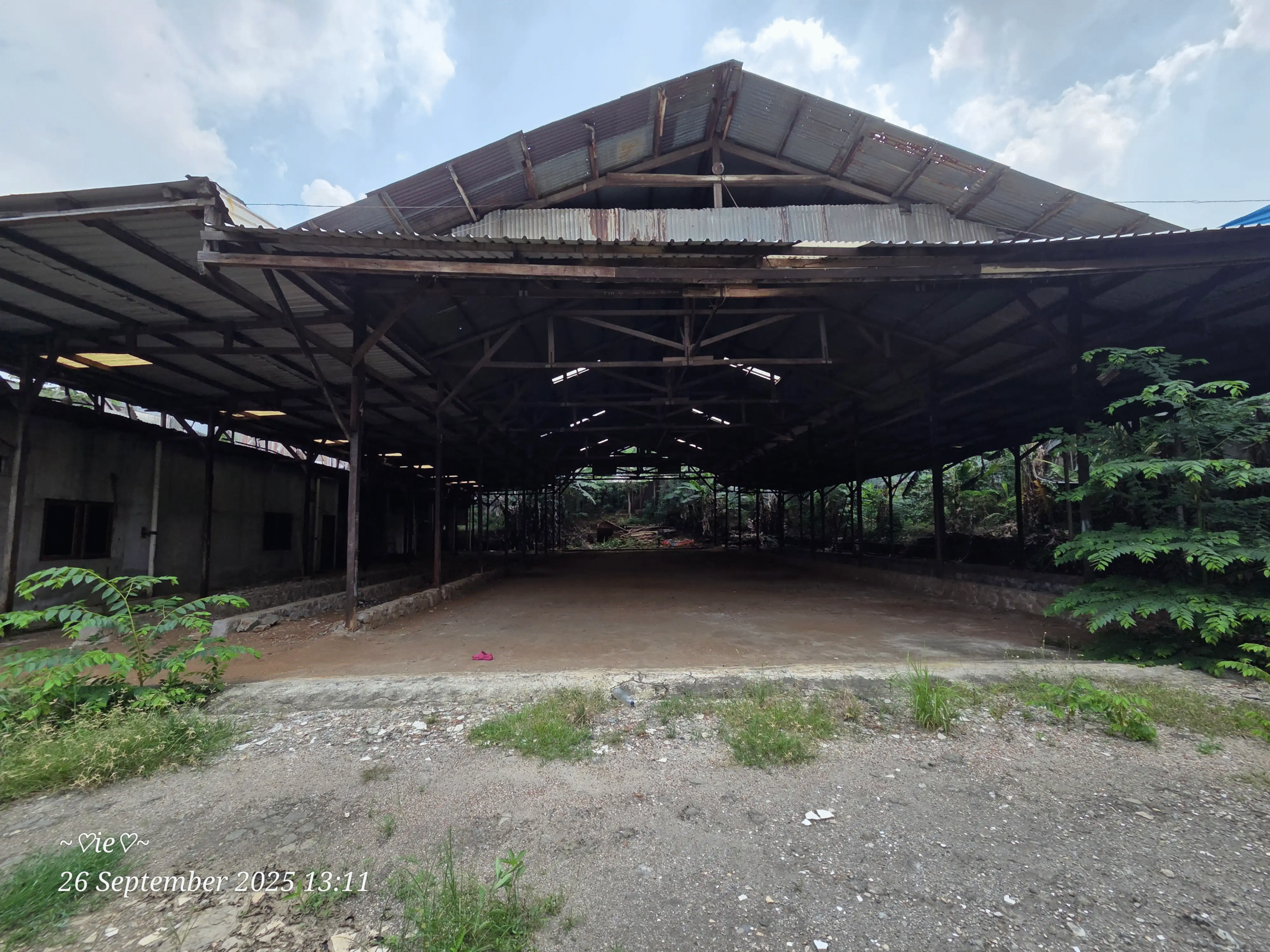 8c9987c0-c8da-452b-9e85-9573f6d6f70d