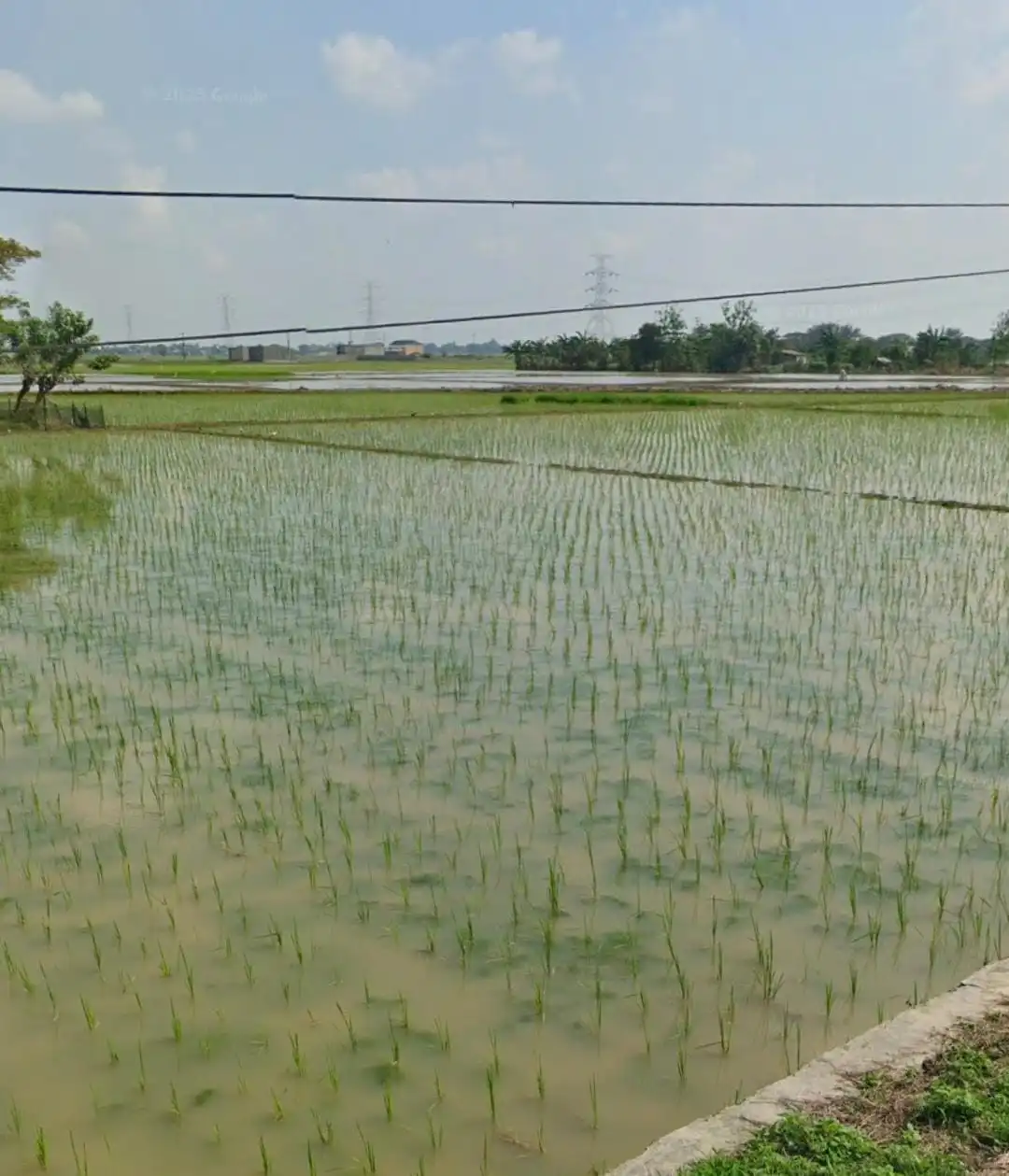 8ea2ced0-a0cc-4bbb-b18d-e4b3f1d5d17d