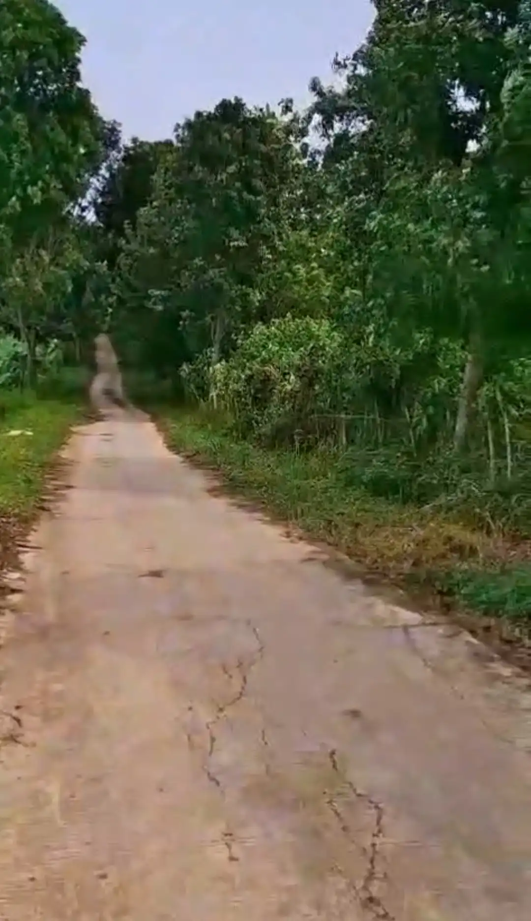 9b33a580-aa6a-4aa1-a454-31bd8e9f6d67