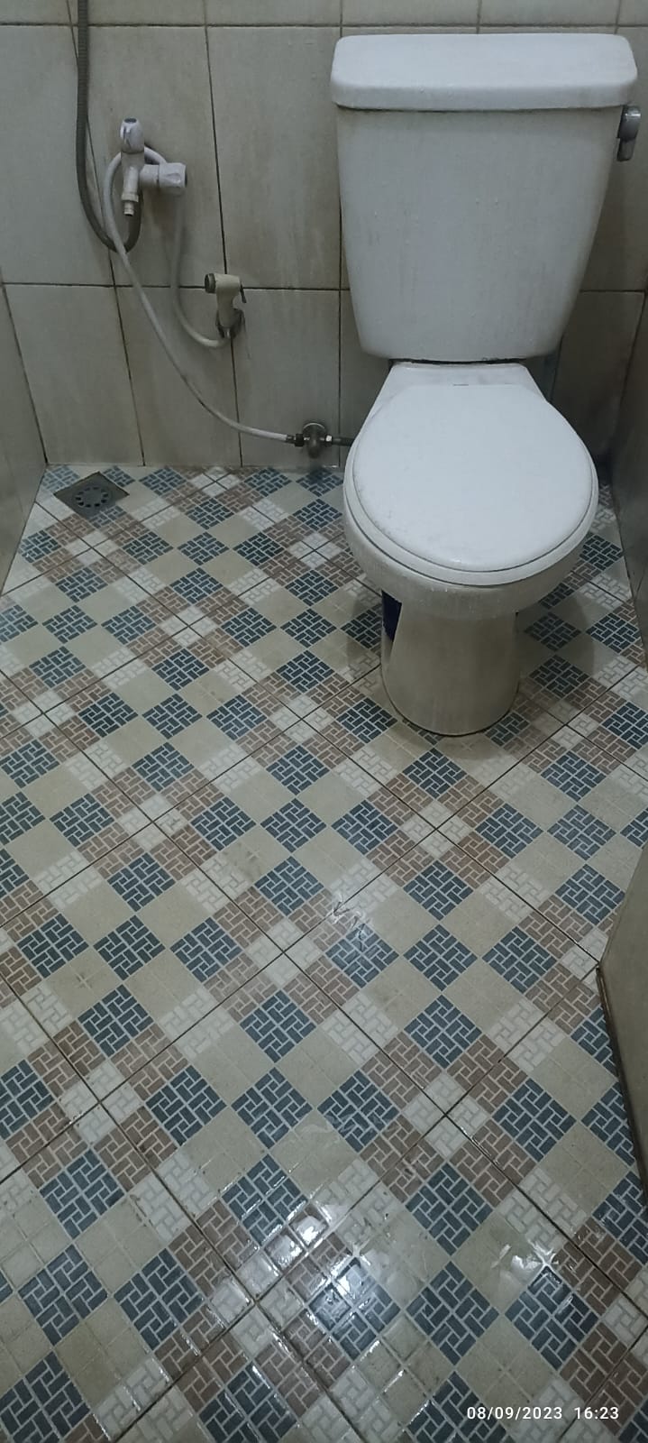 IMG-20241118-WA0041 - Magdalena