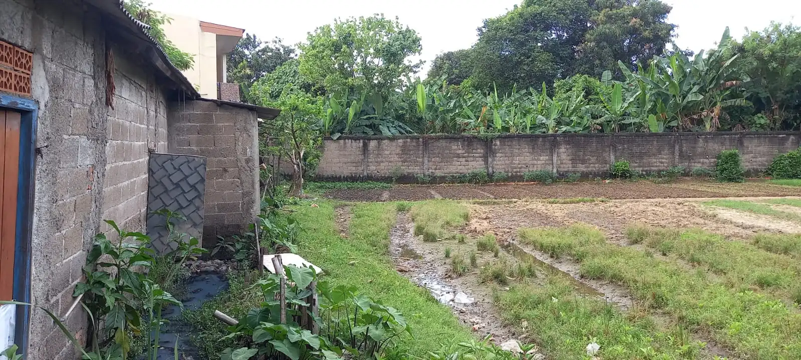 a39db789-69e4-46c1-a5ff-05a1cd774363