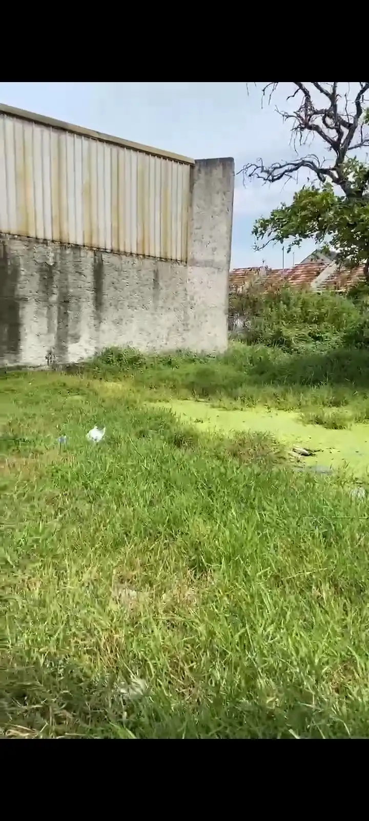 aa66e461-ef8f-4cc5-91b1-b6437b077077