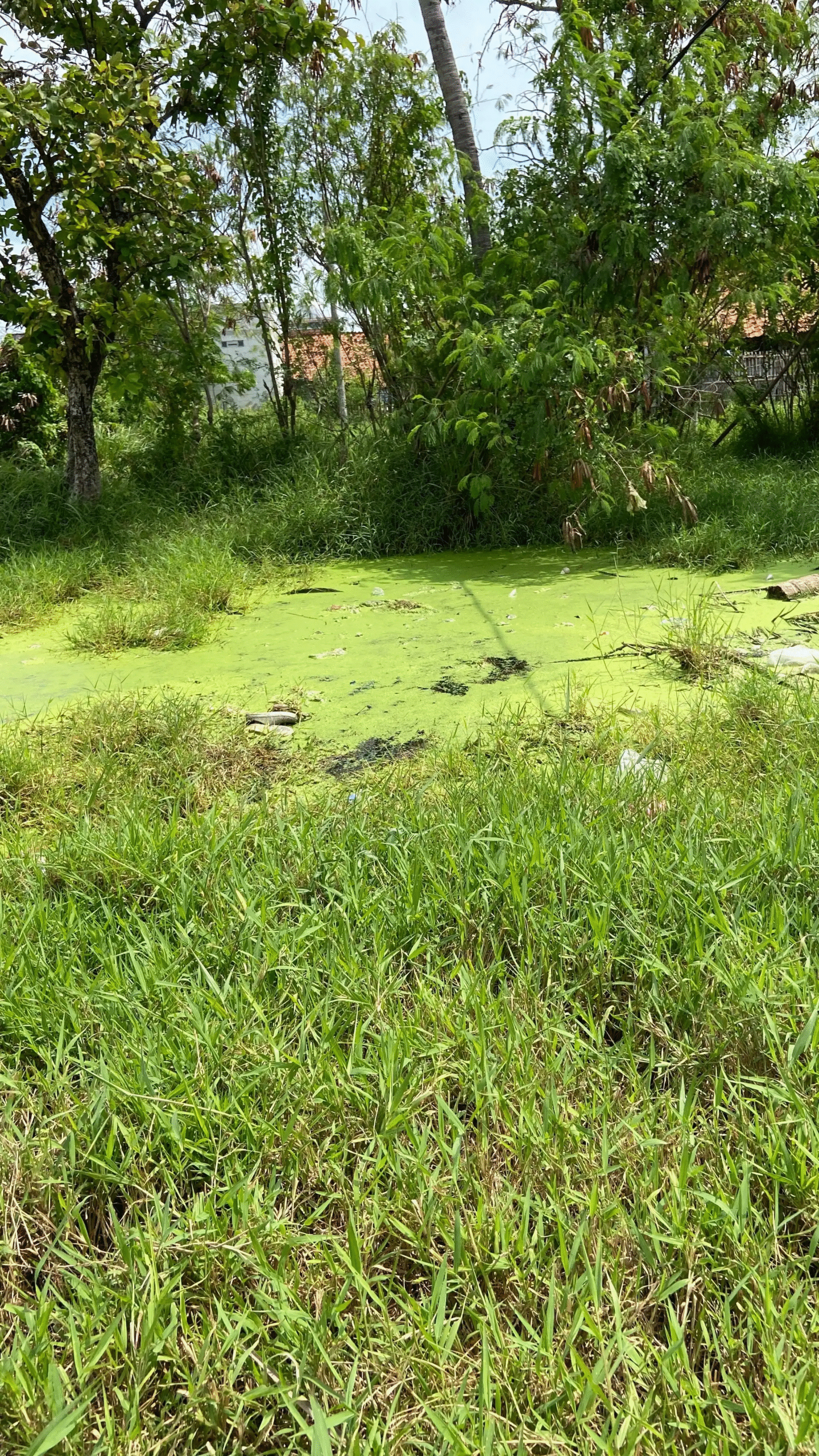 ba36c573-991b-4383-b930-a35cf0db6c4a