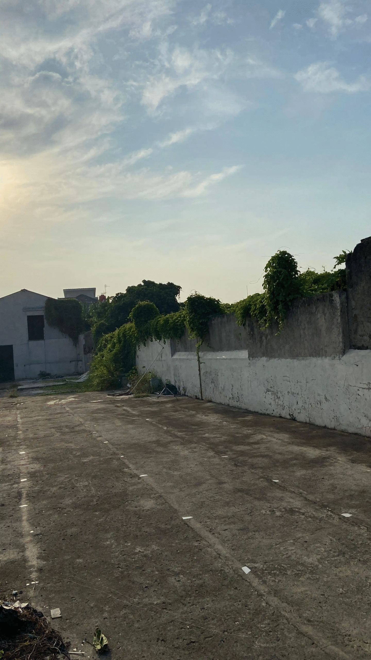 c906ffc6-2e2e-4789-846d-f1d7da9d883e