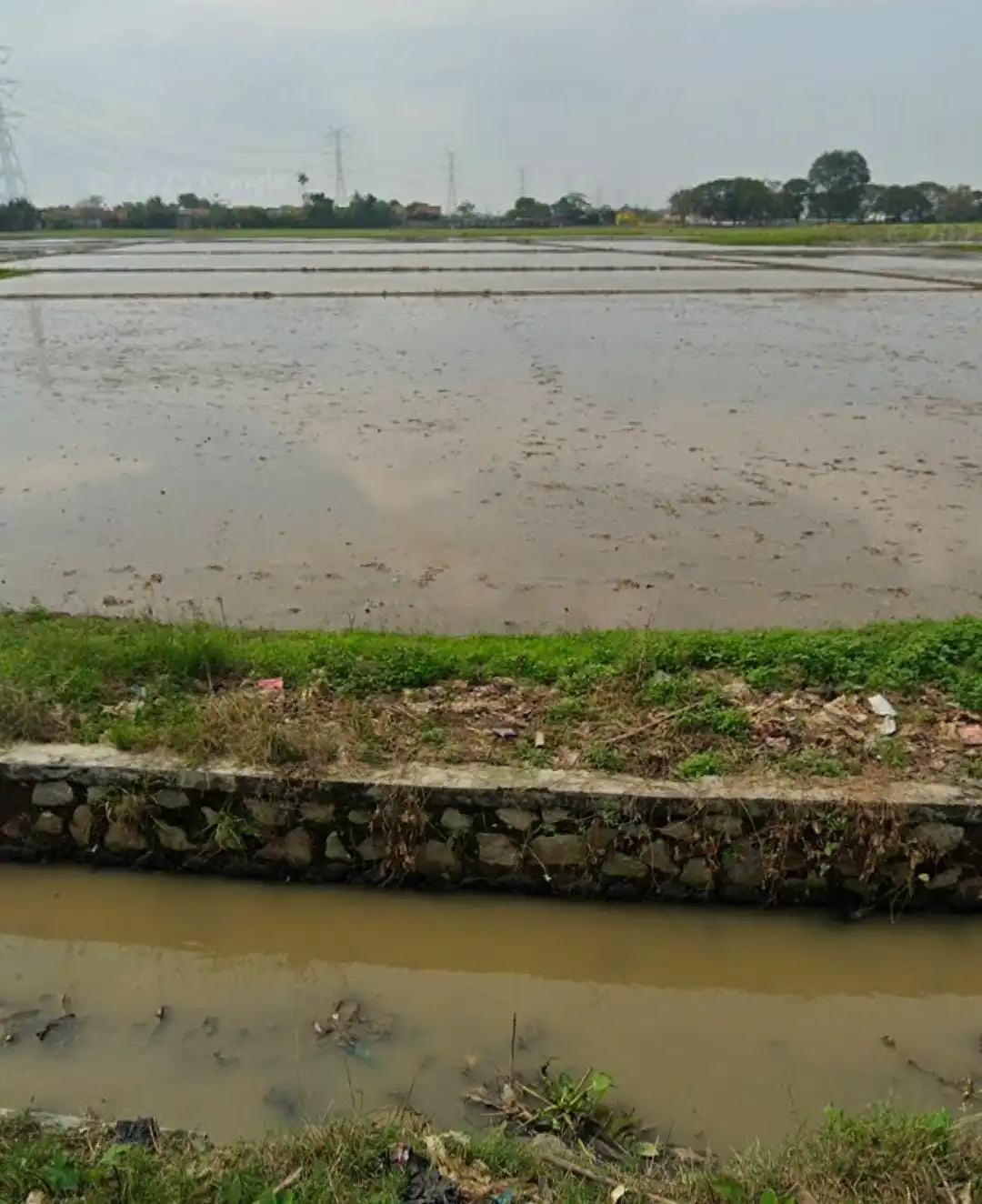 ef257523-4baa-47a2-81fb-dd604e991a85