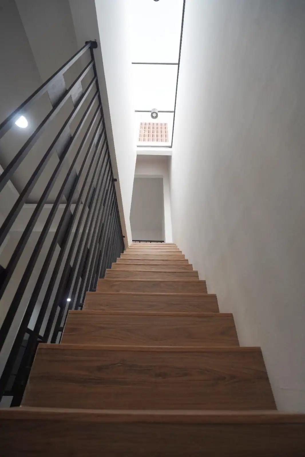 5a3aa17a-e15a-4c61-bed3-b9cb1462cc24